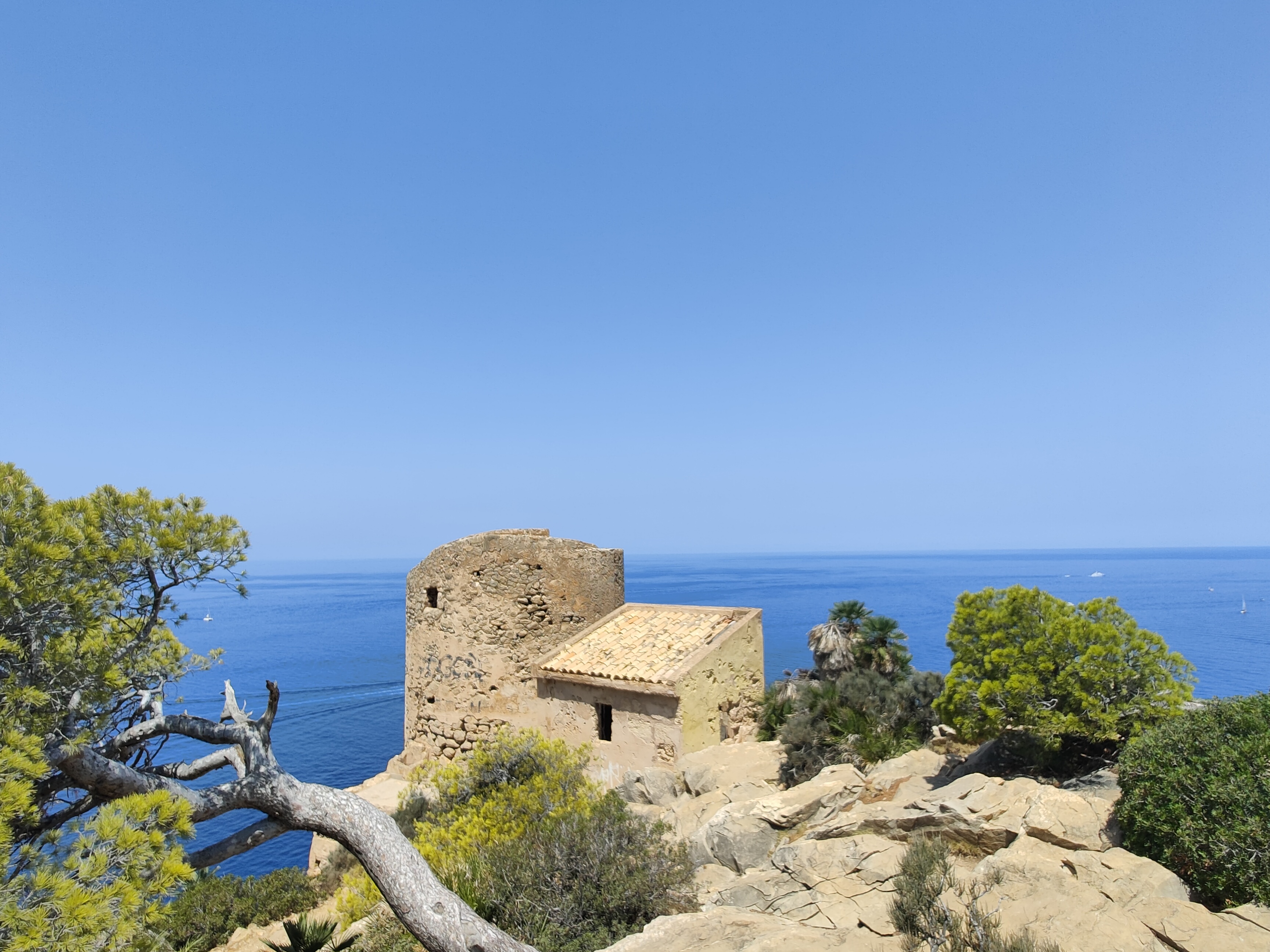 Hiking Tours in Camp de Mar photo 5
