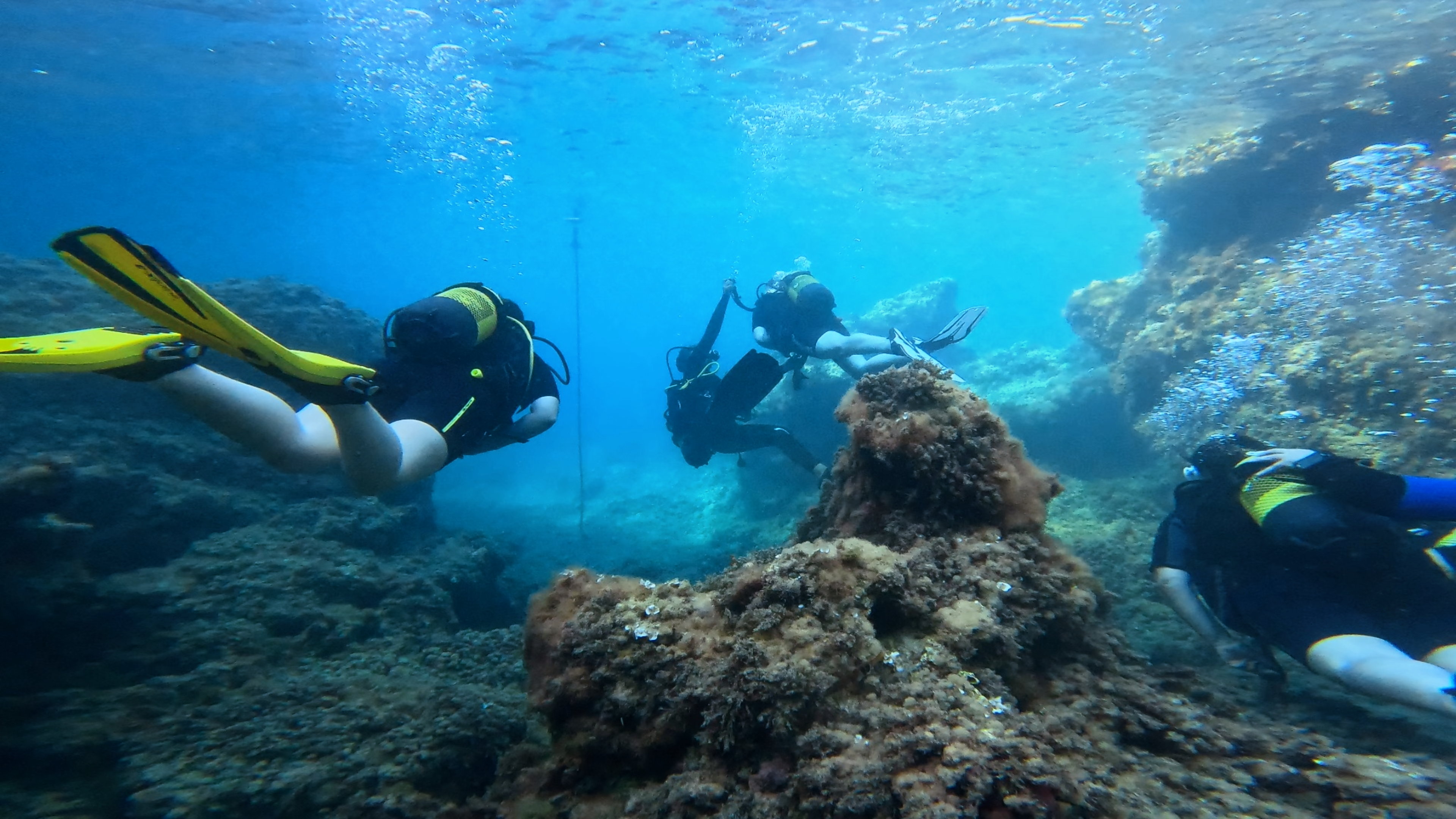 Freediving in Port d'Andratx photo 4