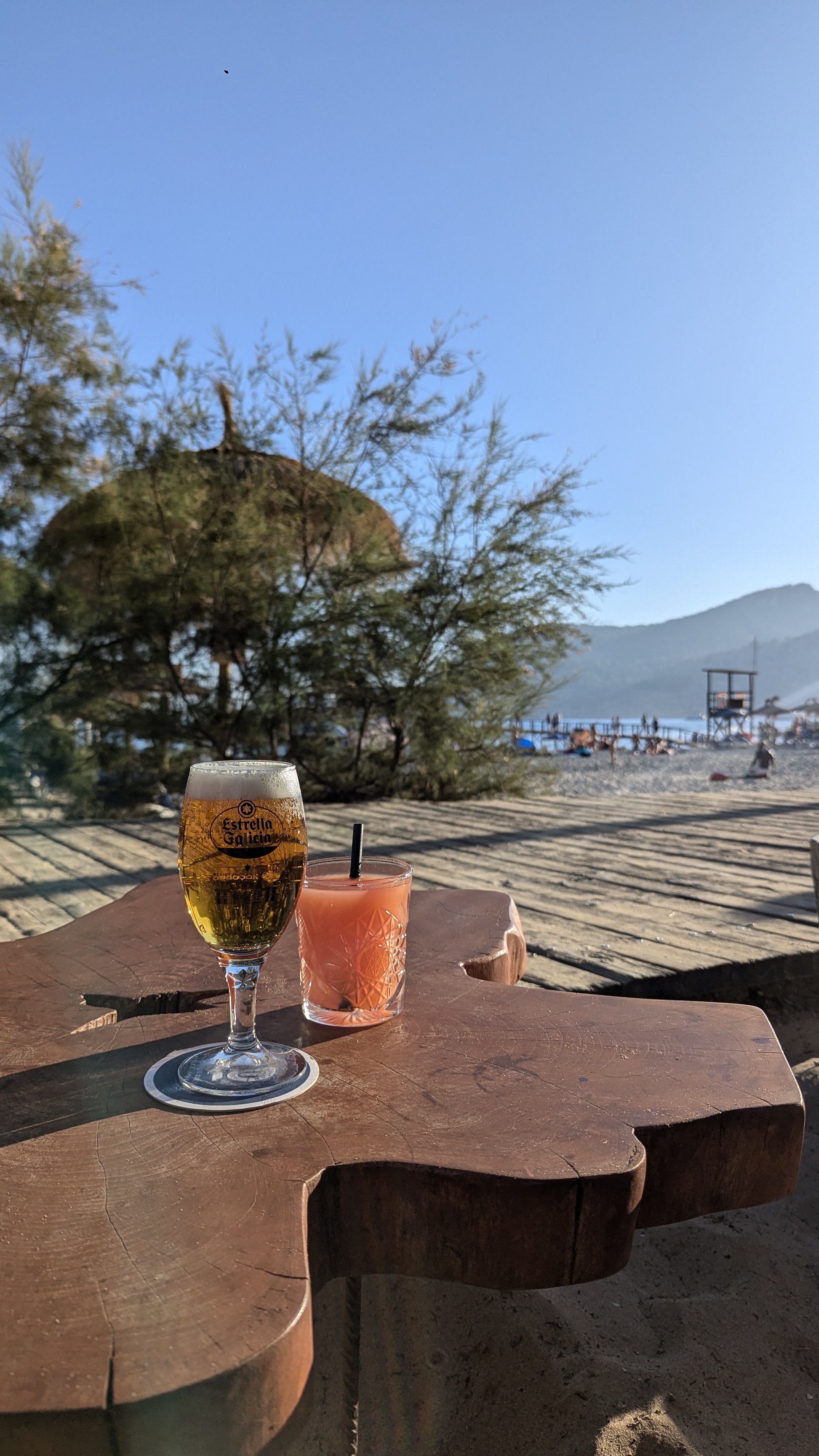 Cocktail Masterclass in Camp de Mar