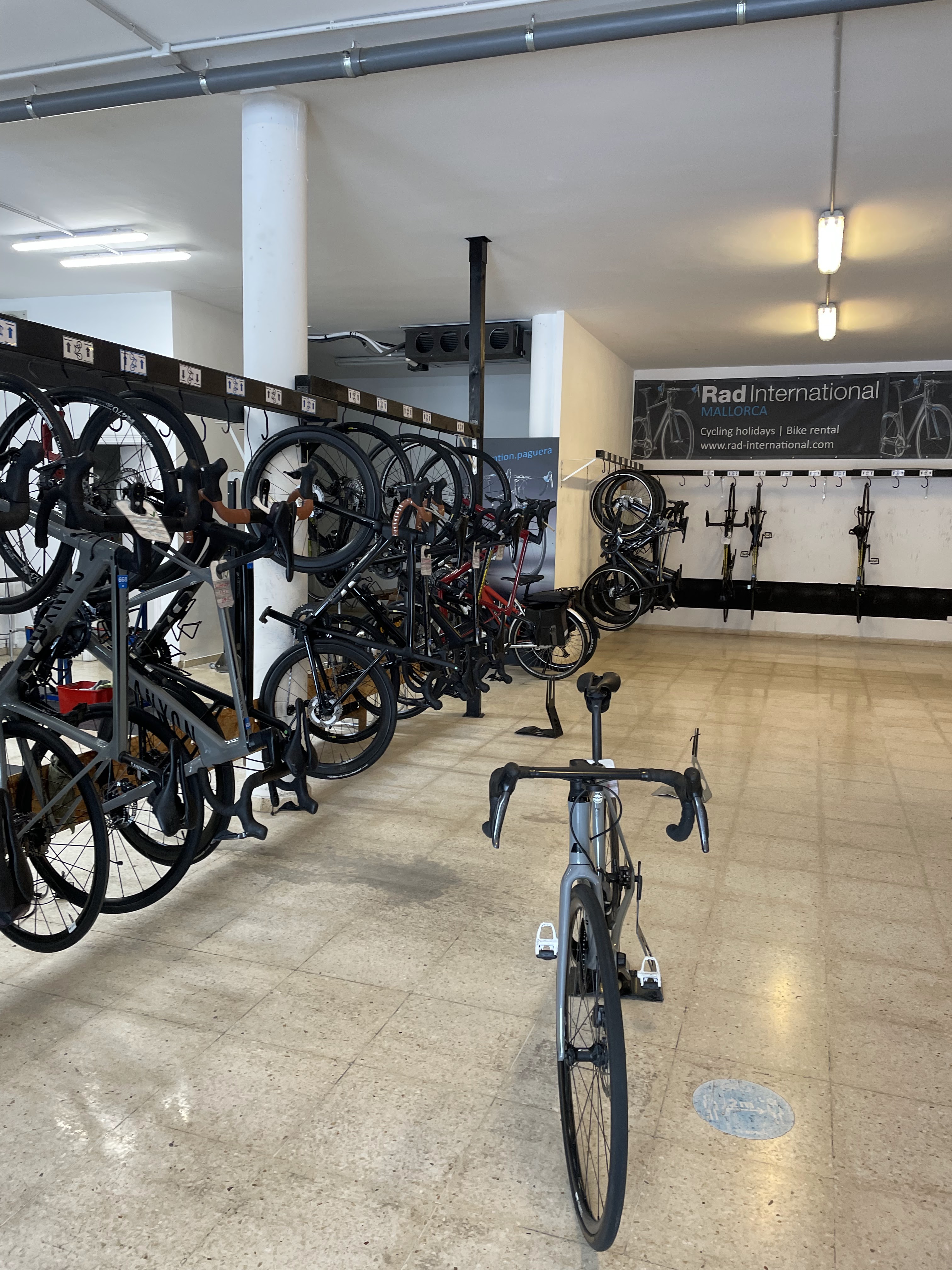 Mountain Bike Rental in Port d'Andratx photo 5