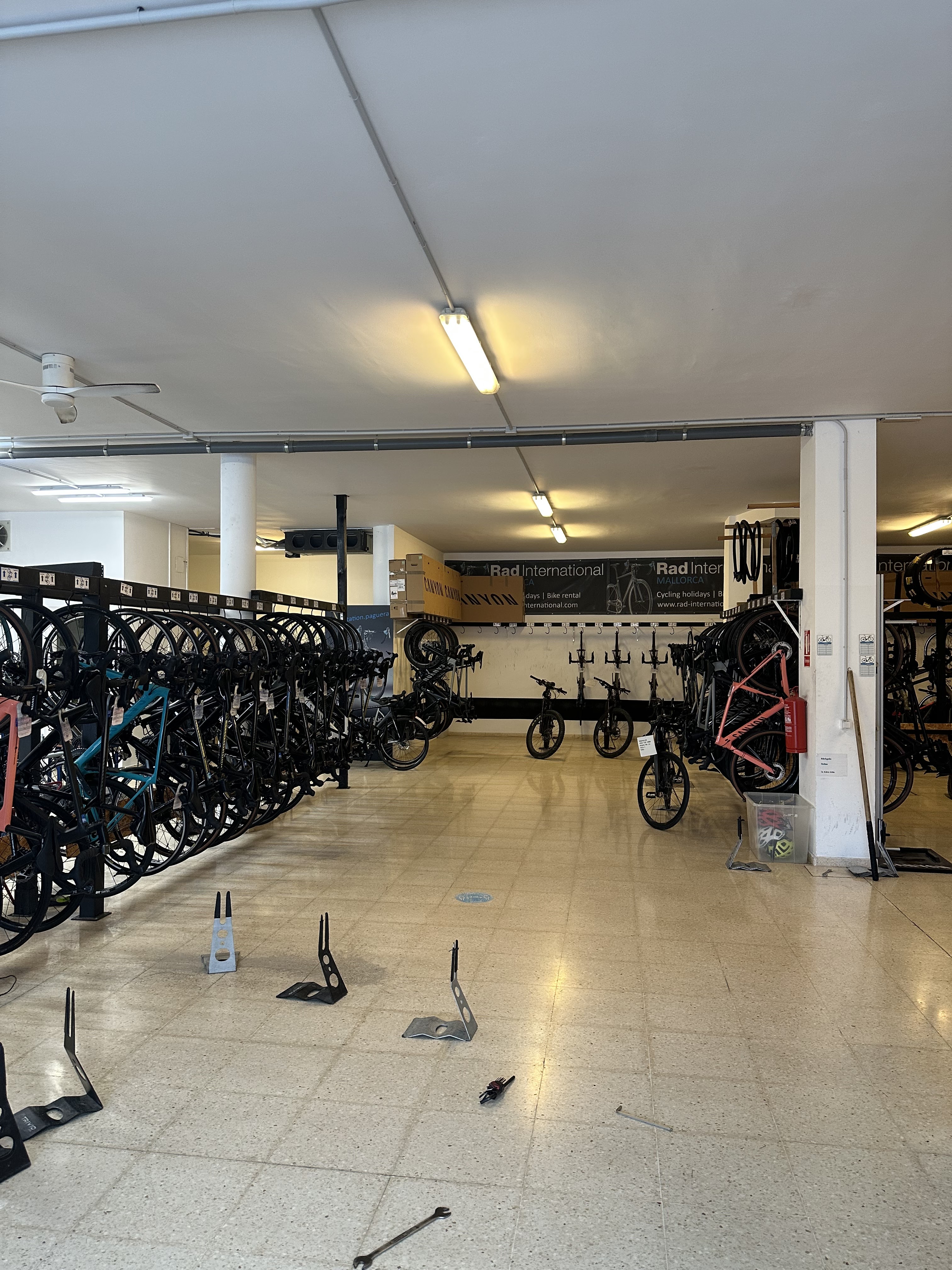 Mountain Bike Rental in Andratx photo 5