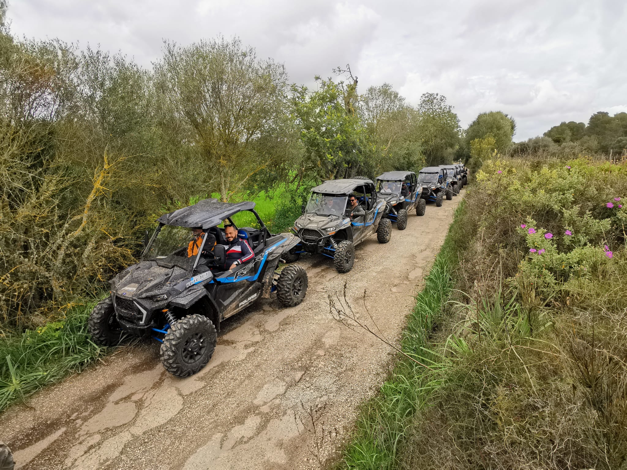 Quad & Buggy Tours in Illetes photo 4
