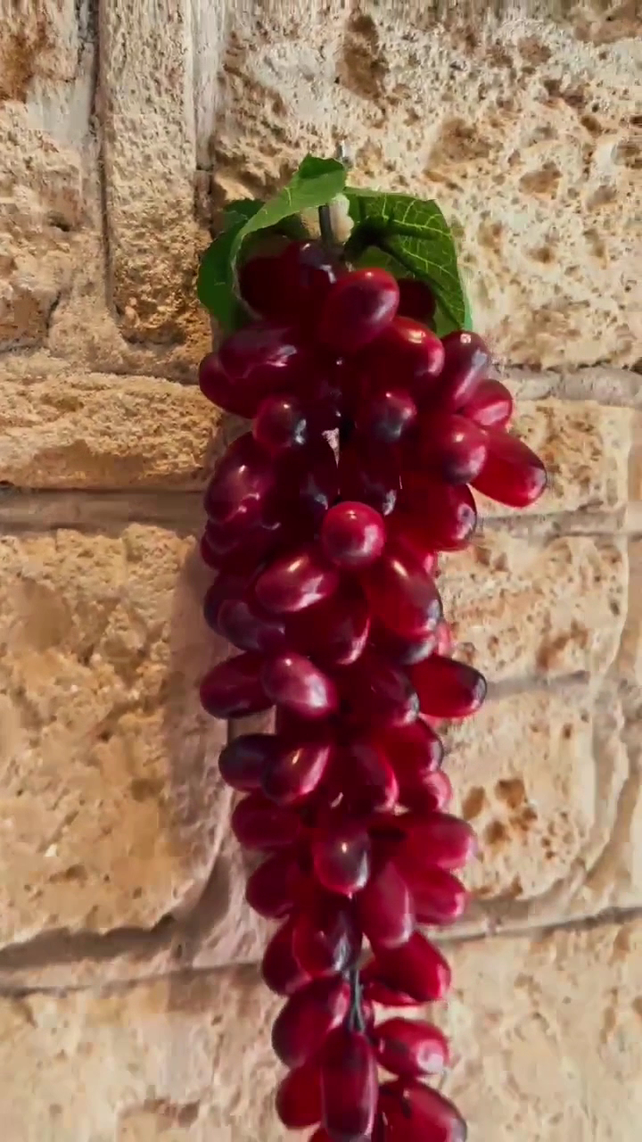 Wine Tasting in Paguera photo 5