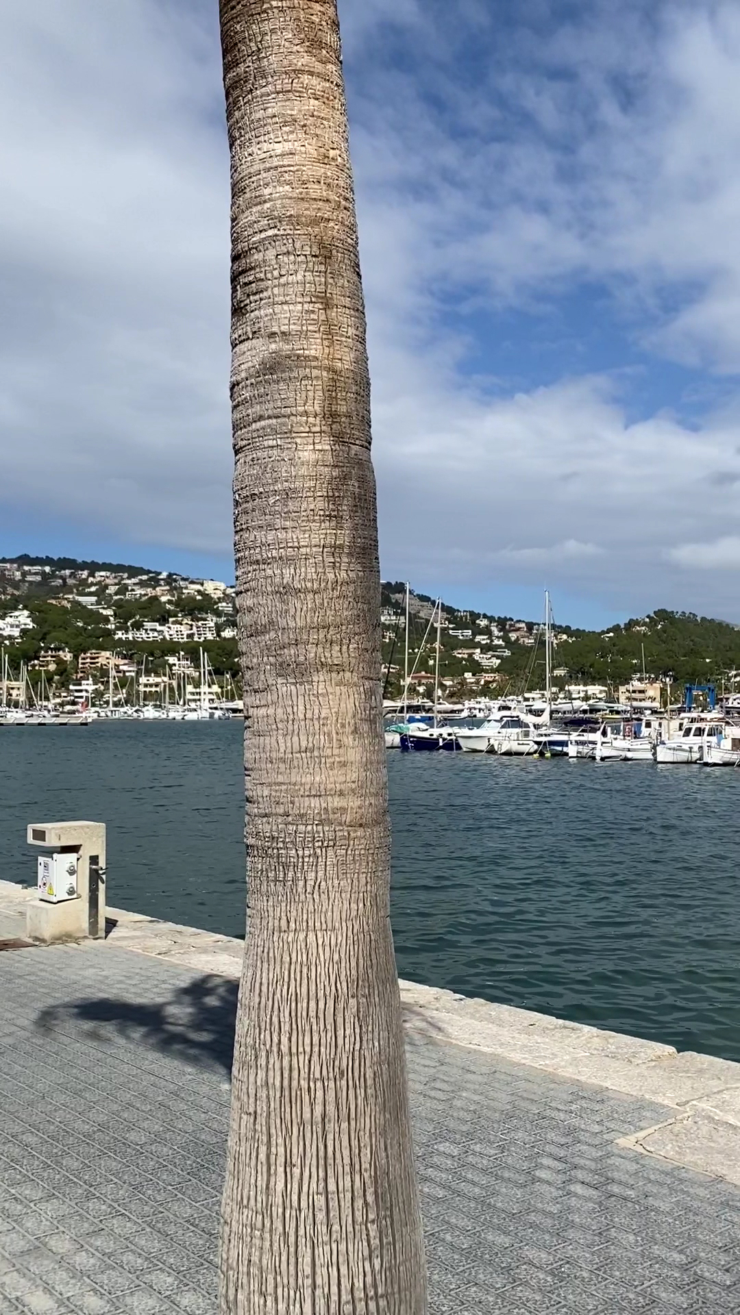 Sailing Lessons in Paguera photo 3
