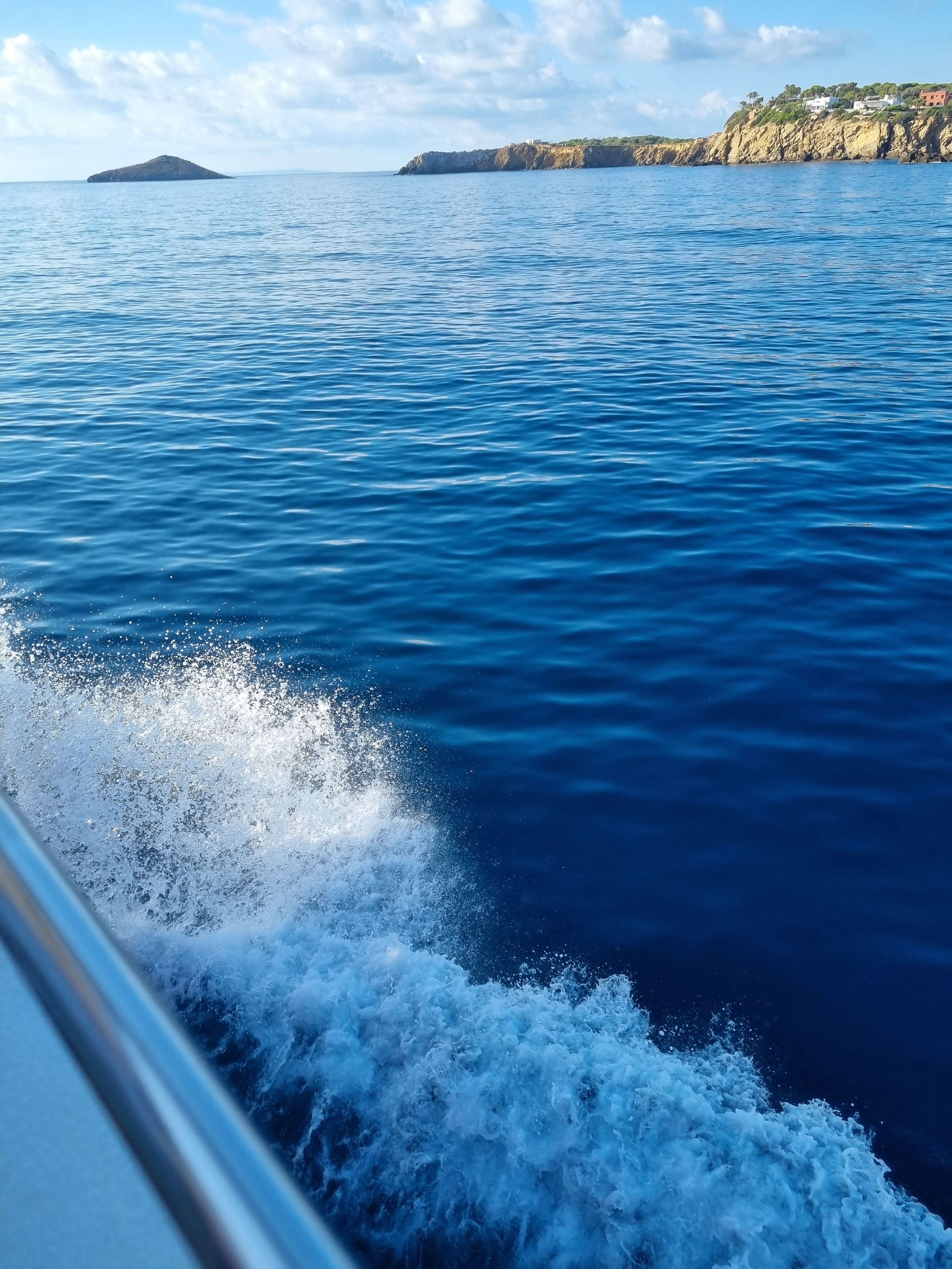 Catamaran Cruise in Es Canar photo 4