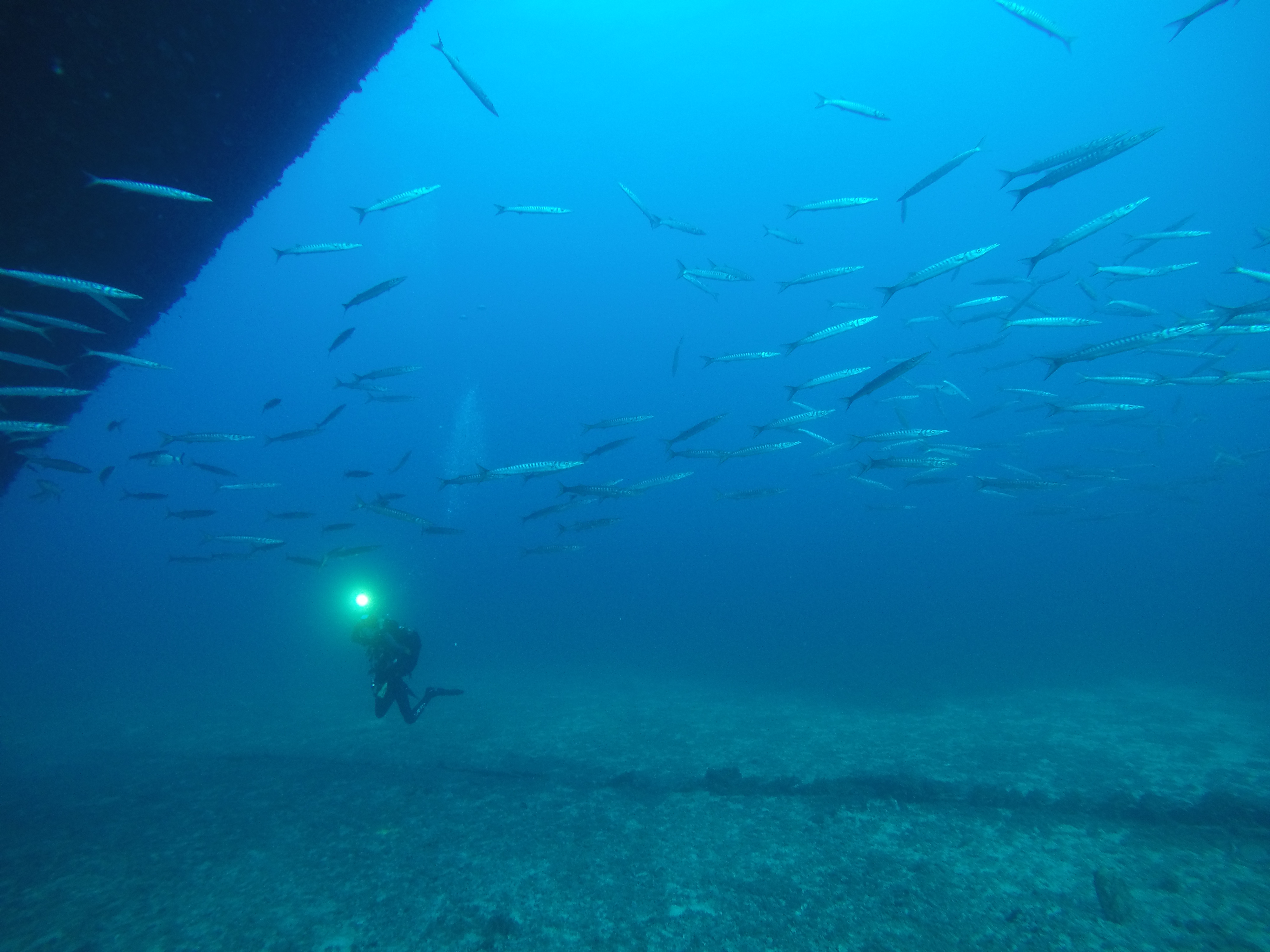 Diving & Snorkeling in Cala Nova photo 2