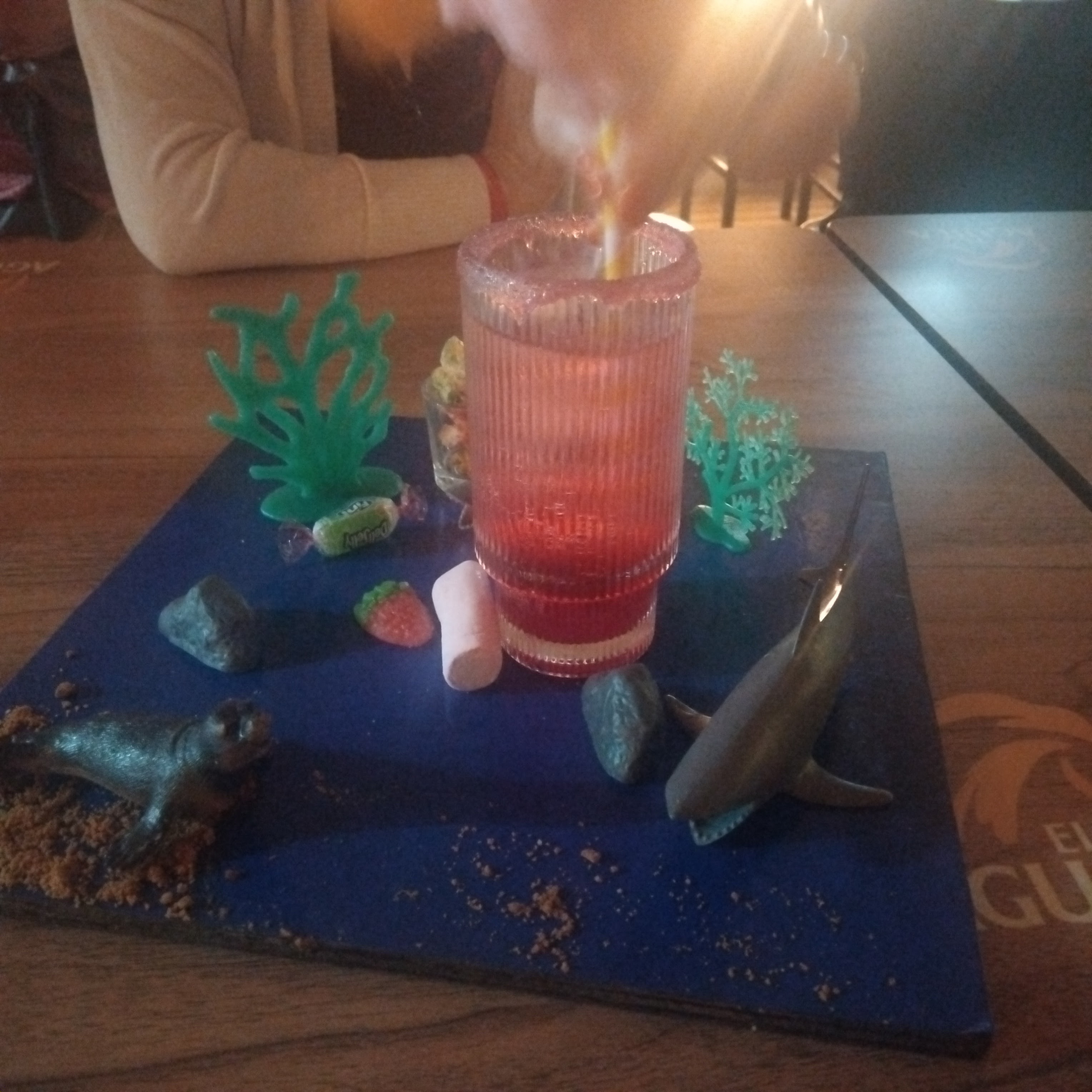 Cocktail Masterclass in Es Canar photo 3