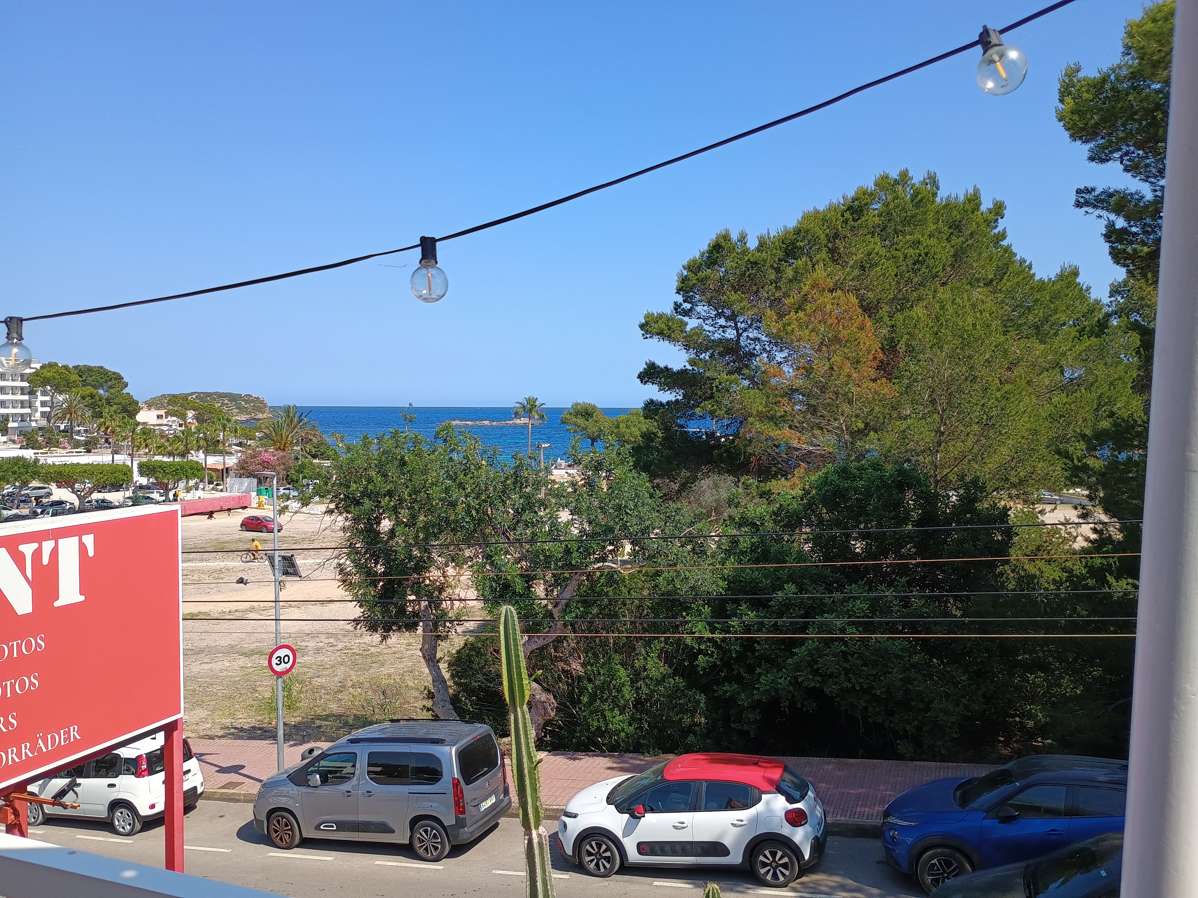 Dolphin Watching in Es Canar photo 2