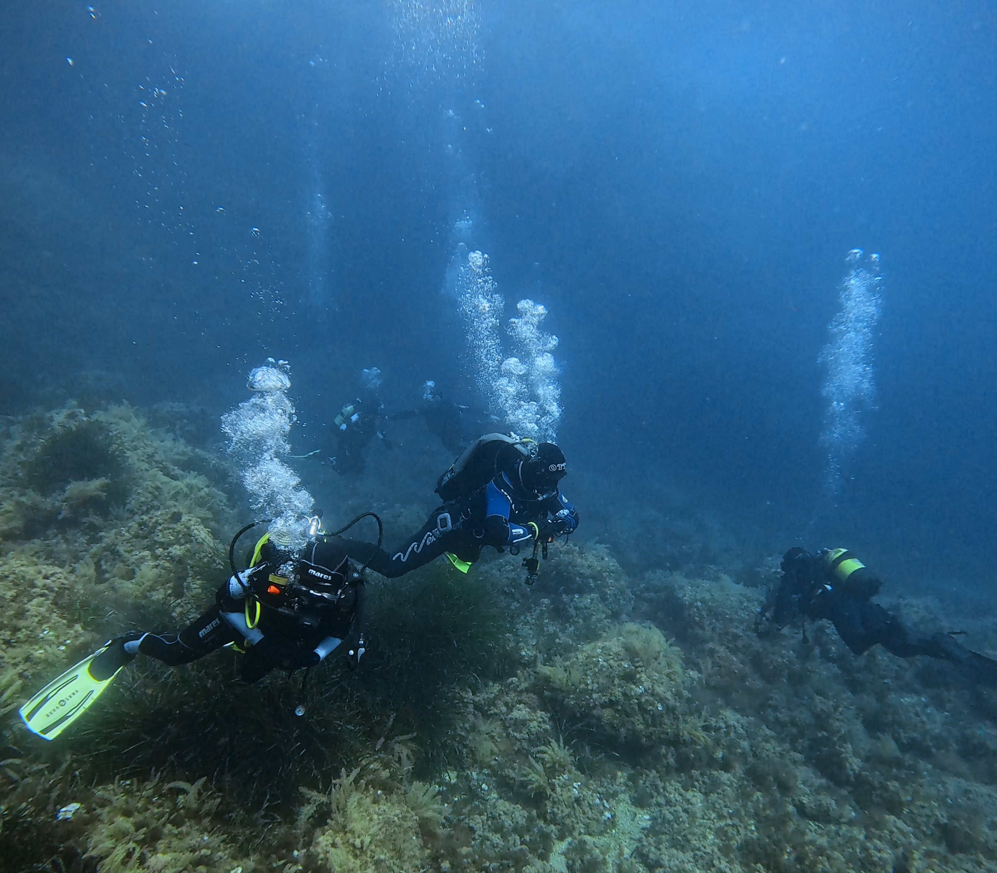 Scuba Courses in Cala Llonga