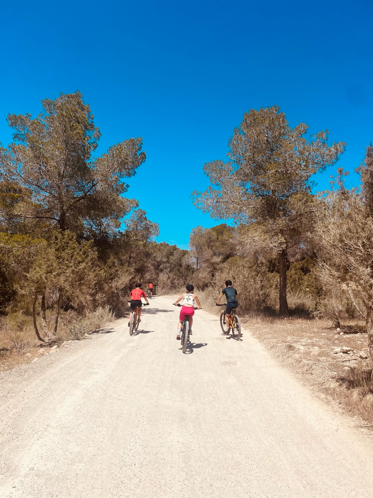 Mountain Bike Rental in Santa Gertrudis photo 2