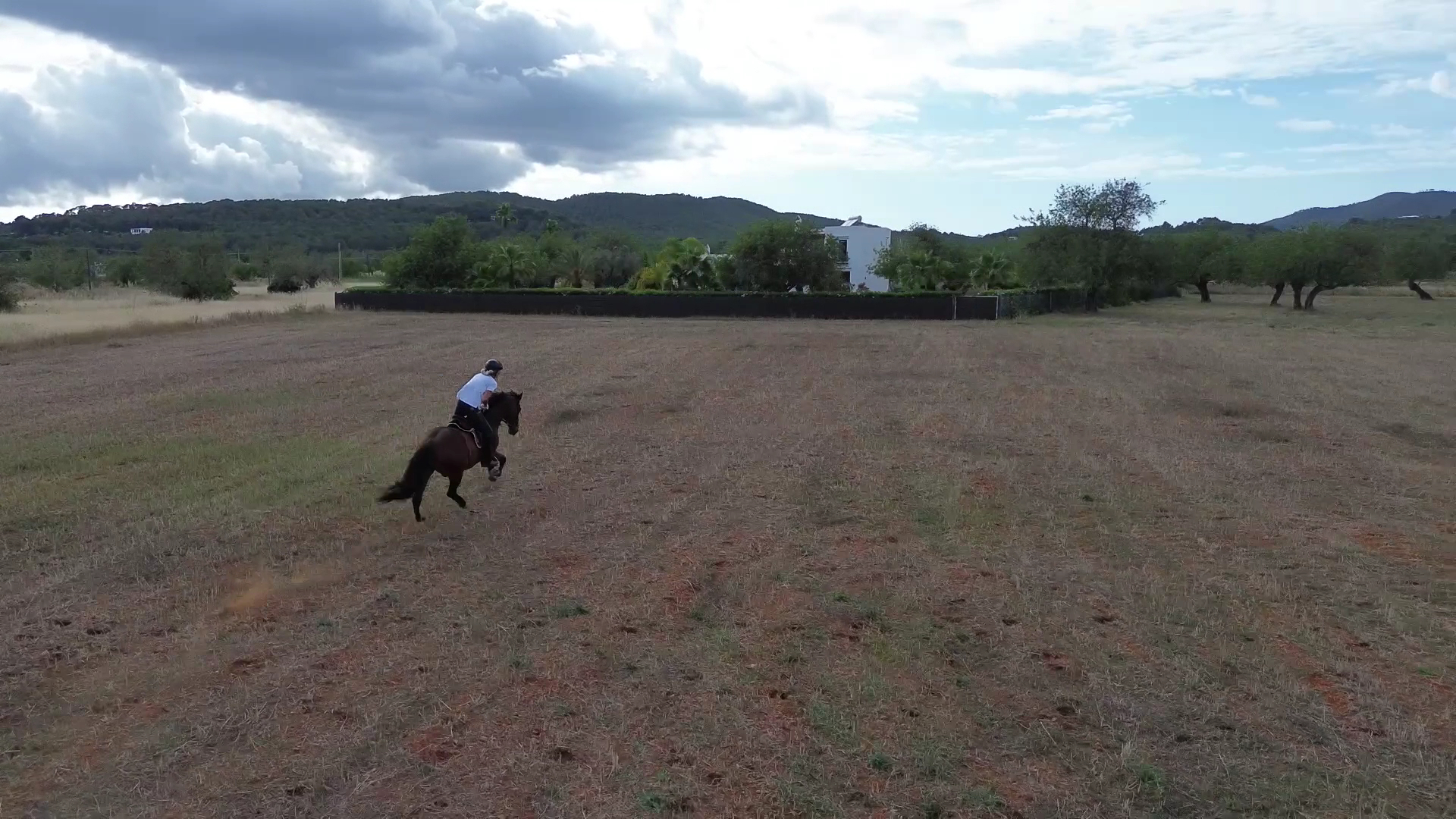 Horseback Riding in Es Canar photo 3