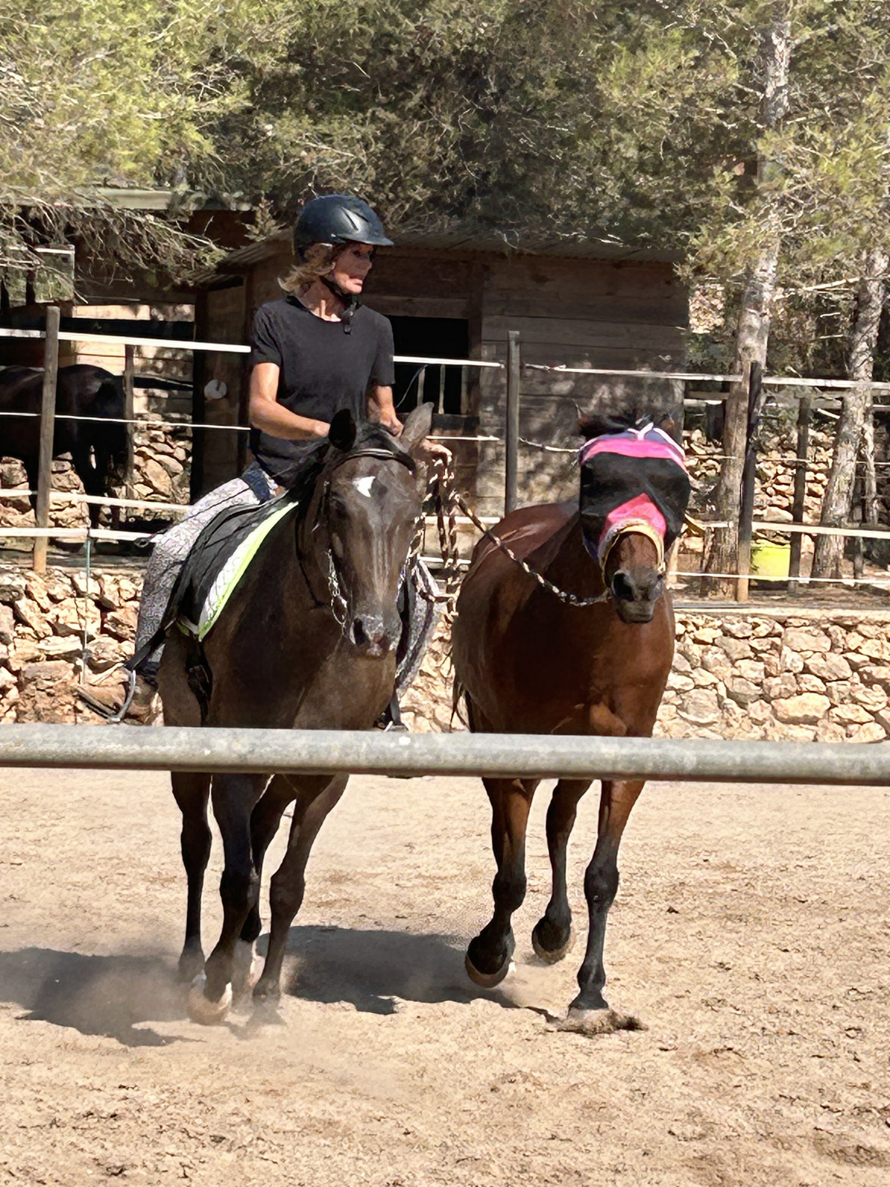 Horseback Riding in Es Canar photo 4
