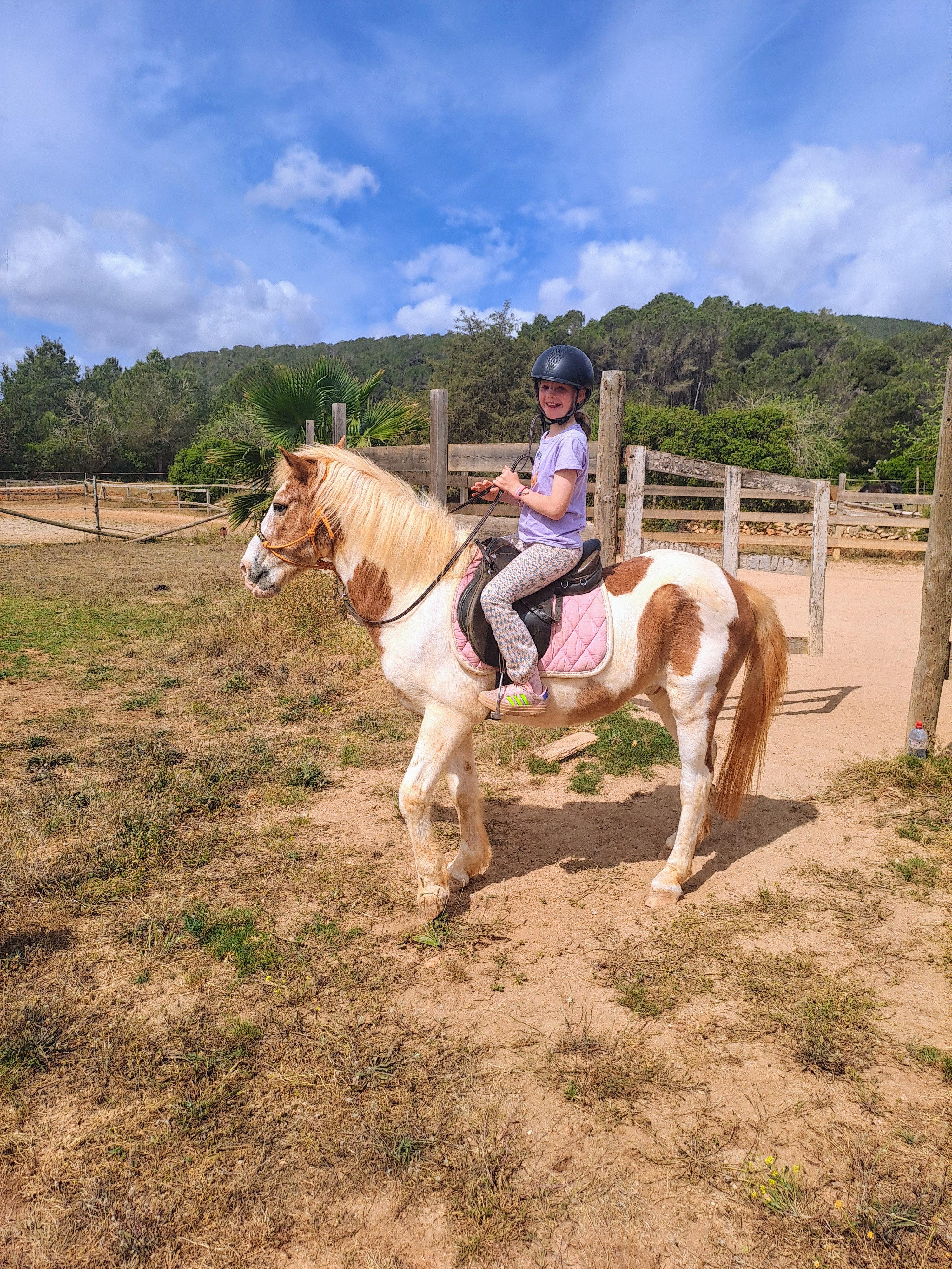 Horseback Riding in Es Canar photo 5