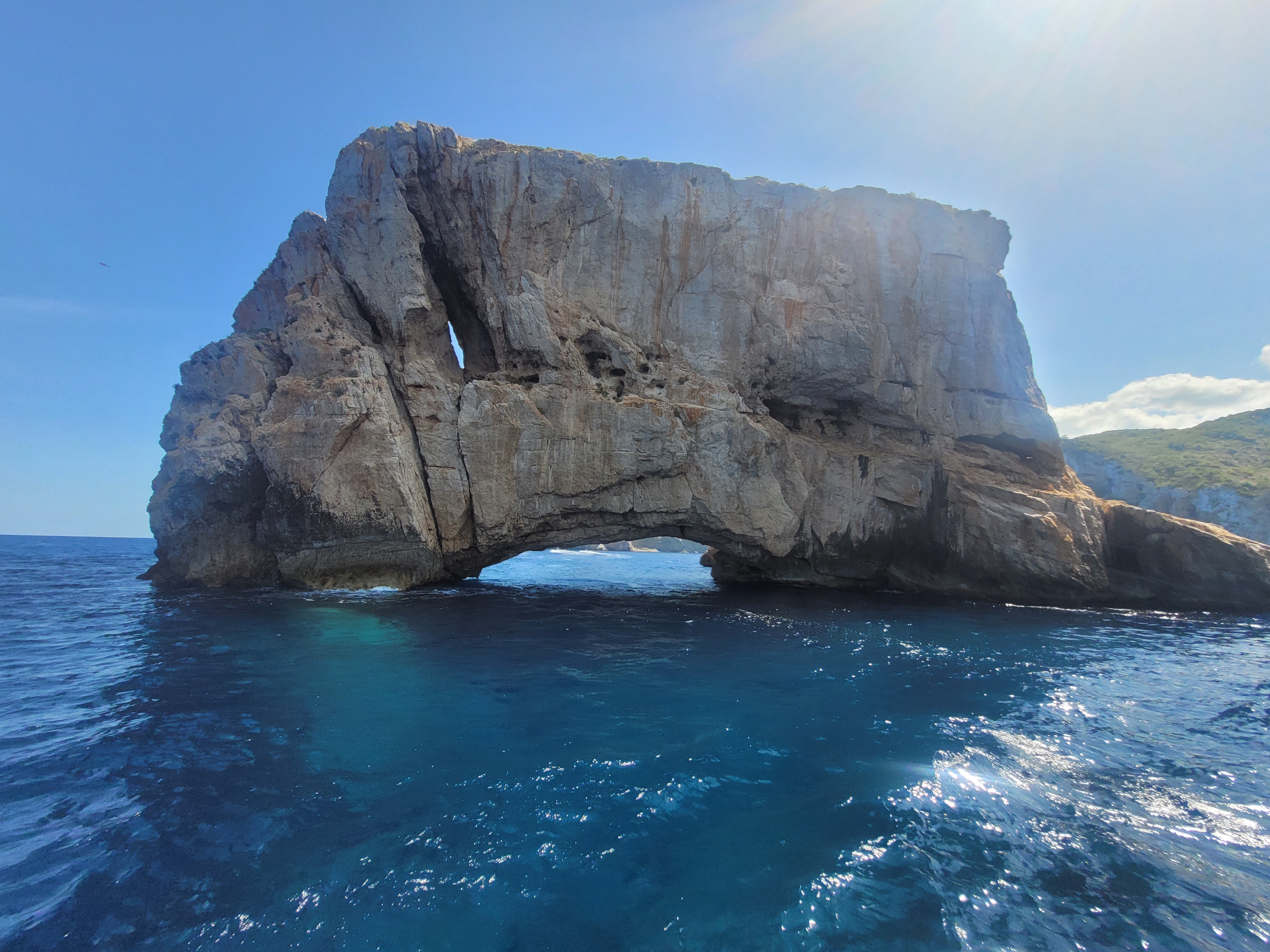Whale Watching in Santa Gertrudis