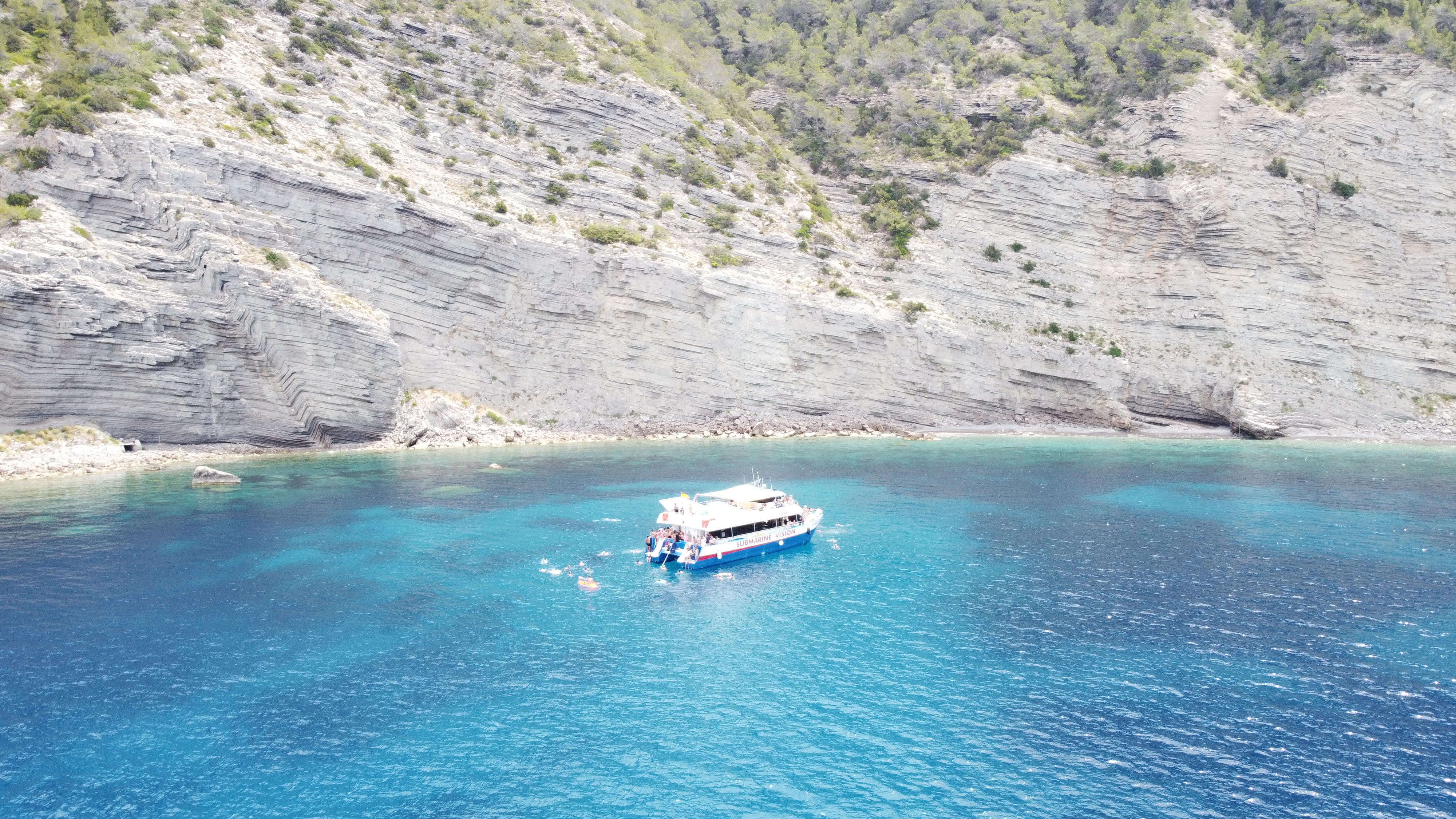 Whale Watching in Santa Gertrudis photo 2