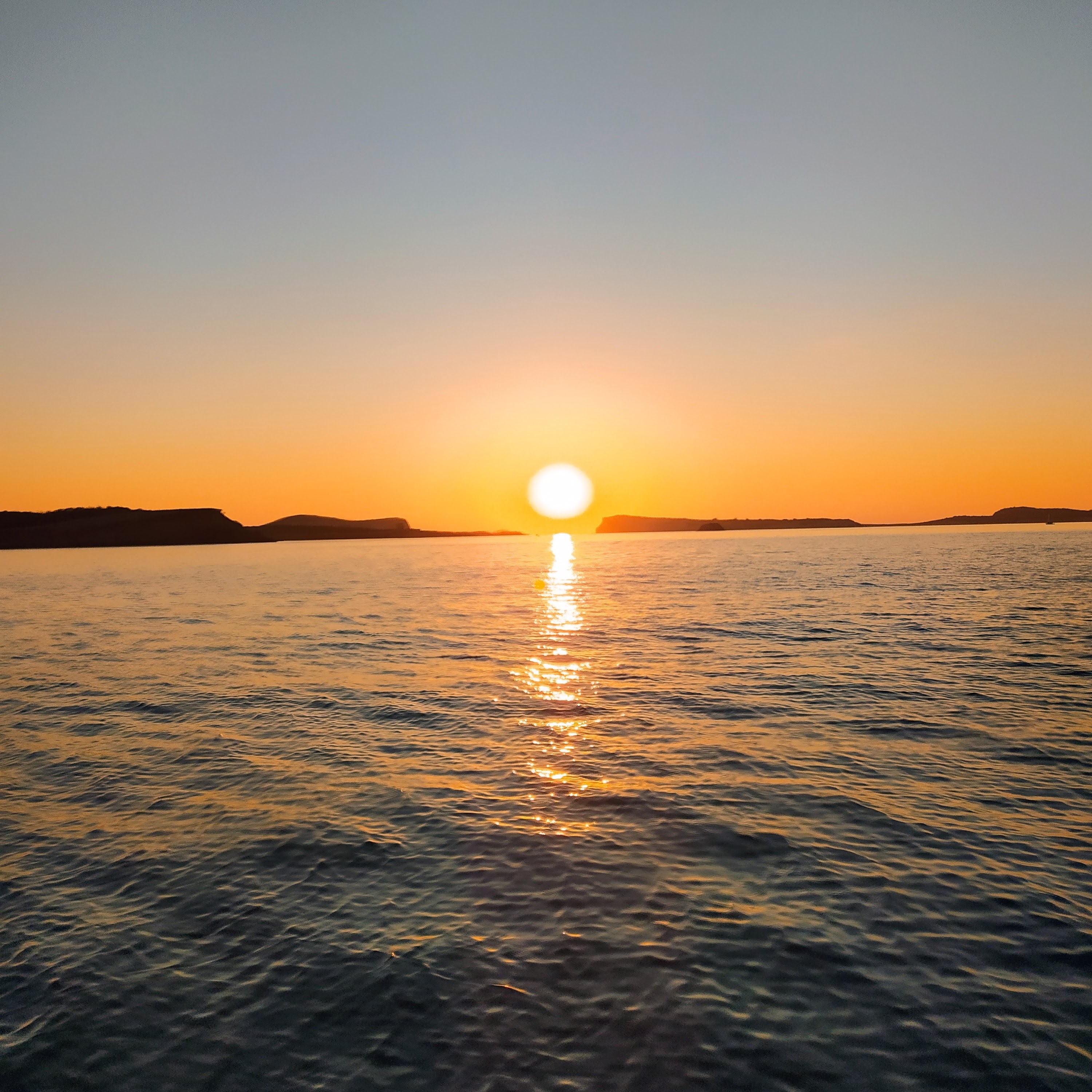 Whale Watching in Santa Gertrudis photo 3