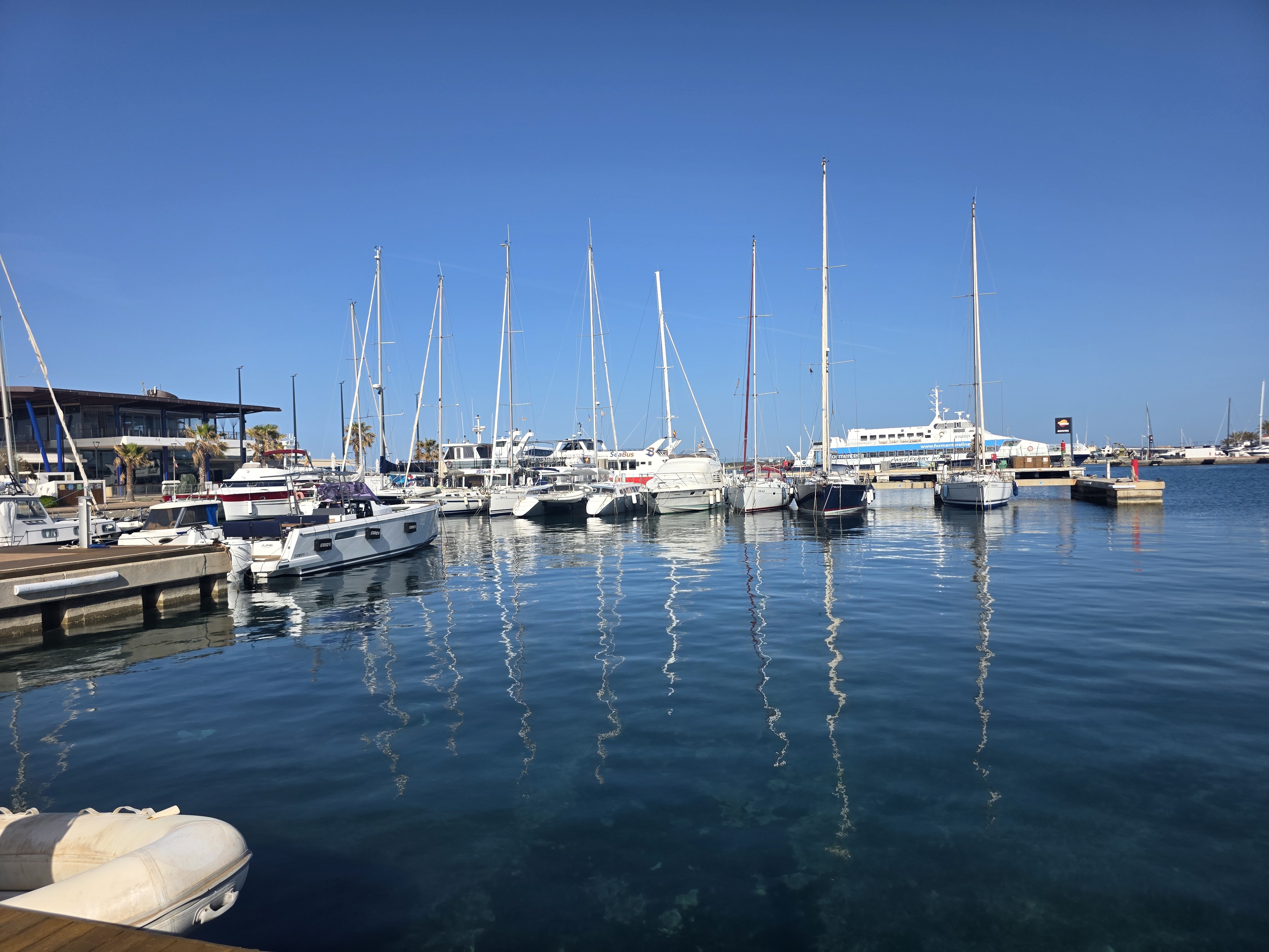 Whale Watching in Santa Gertrudis photo 4