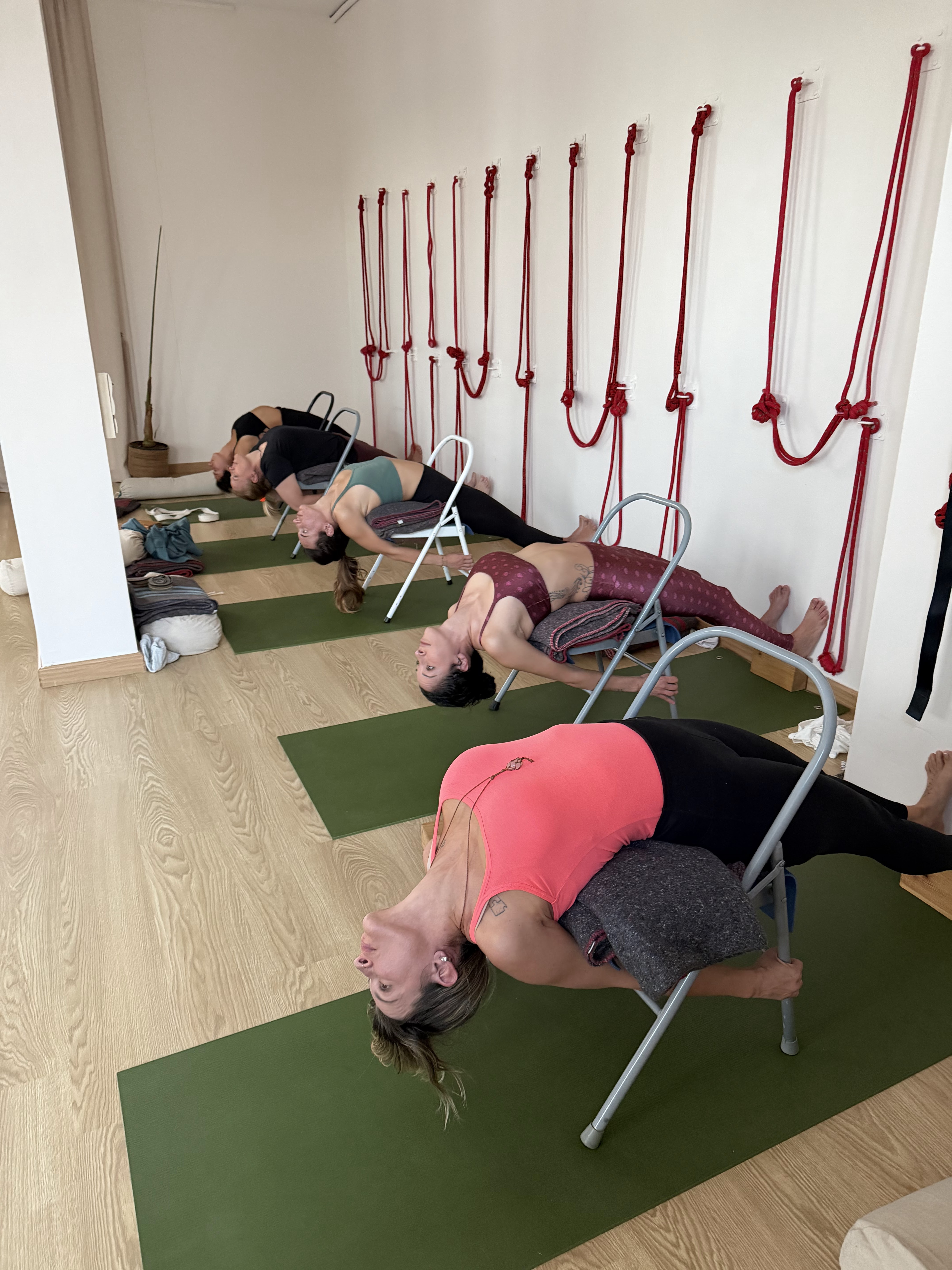 Yoga & Wellness in San Antonio photo 2