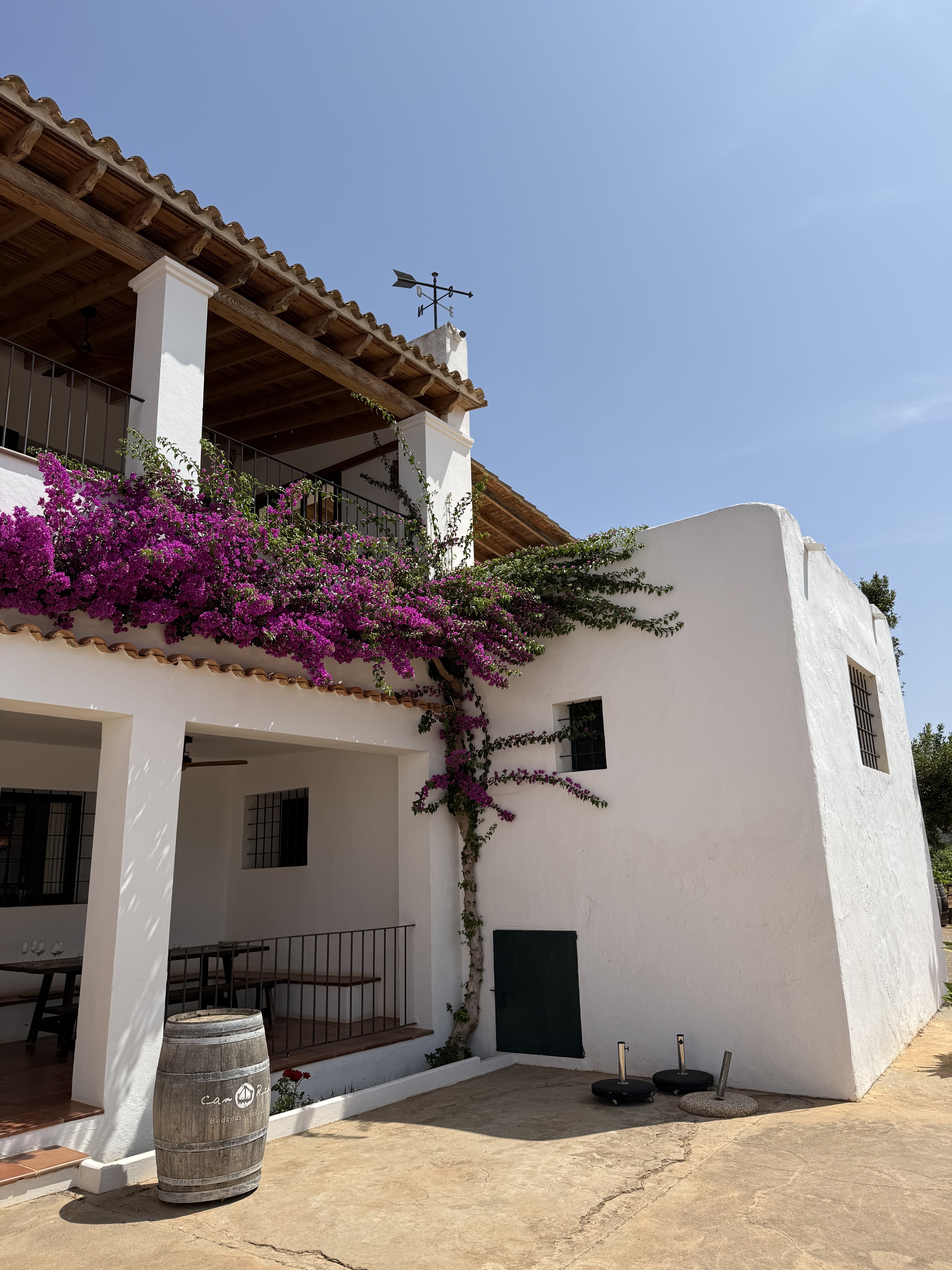 Wine Tasting in Cala Tarida
