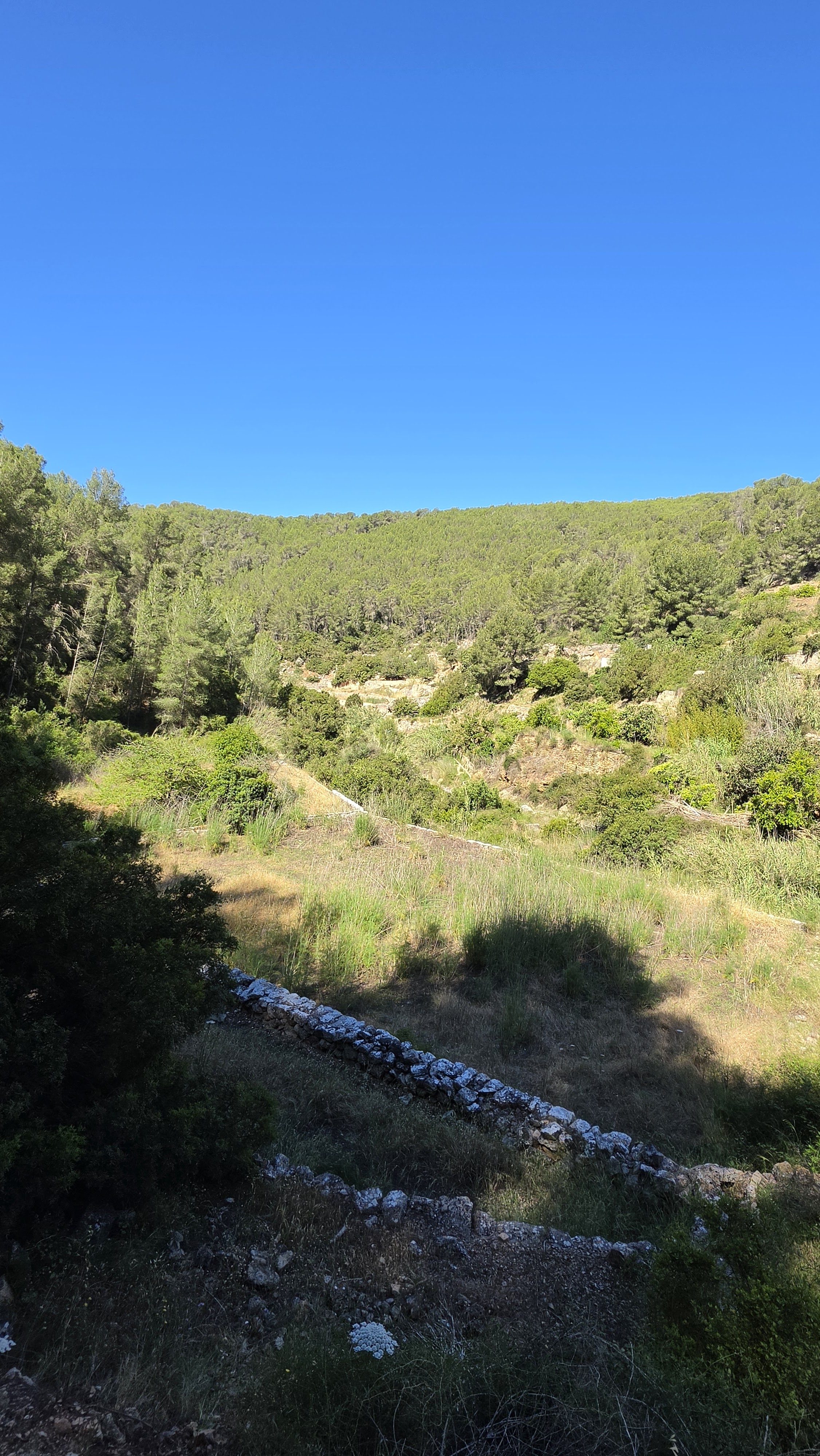 Hiking Tours in Sant Rafel photo 2
