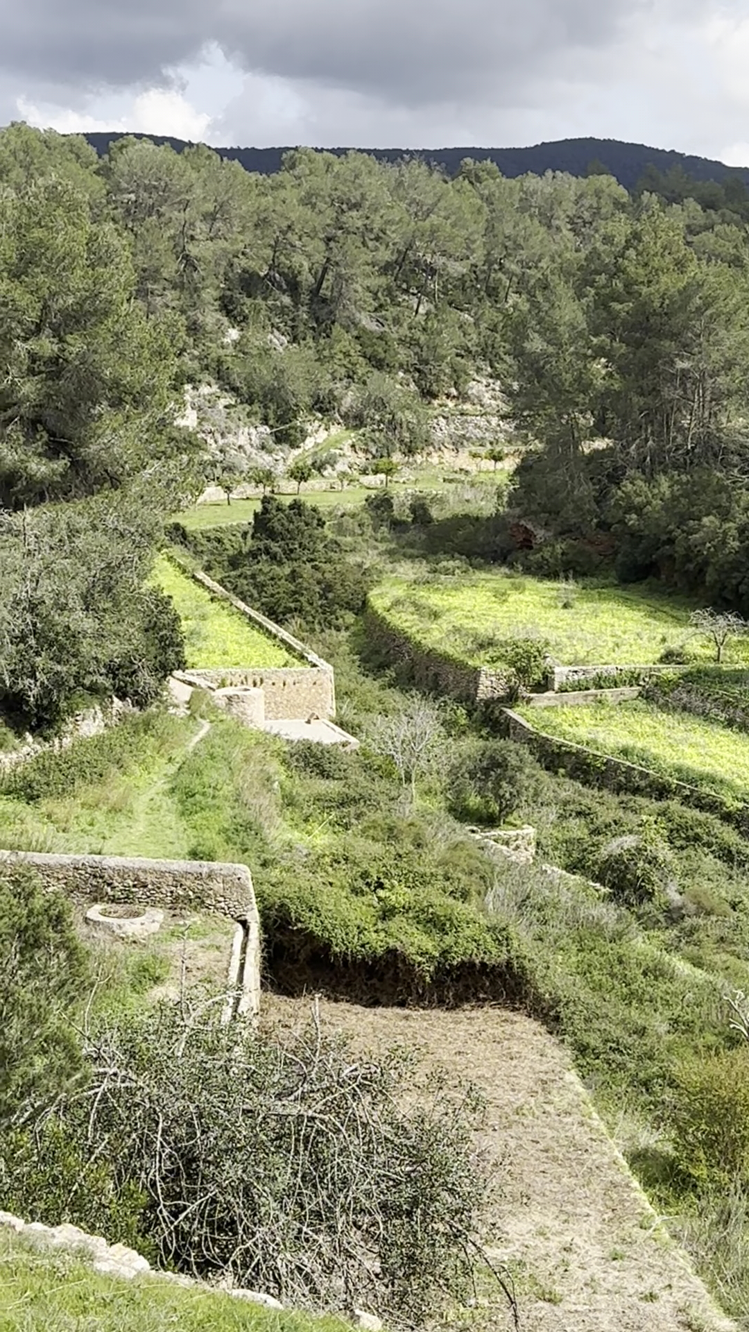 Hiking Tours in Sant Rafel photo 3