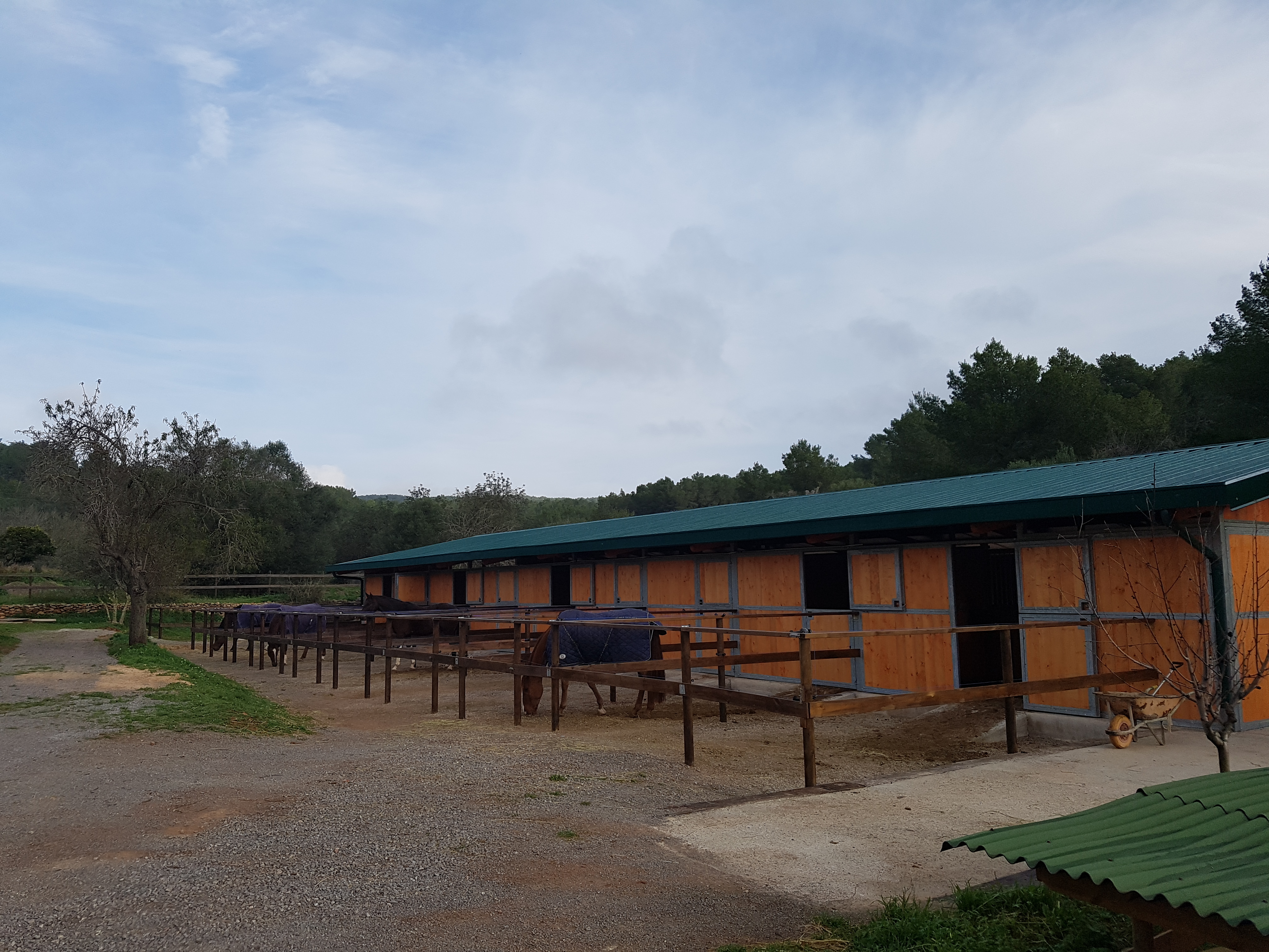 Horseback Riding in San Antonio photo 2