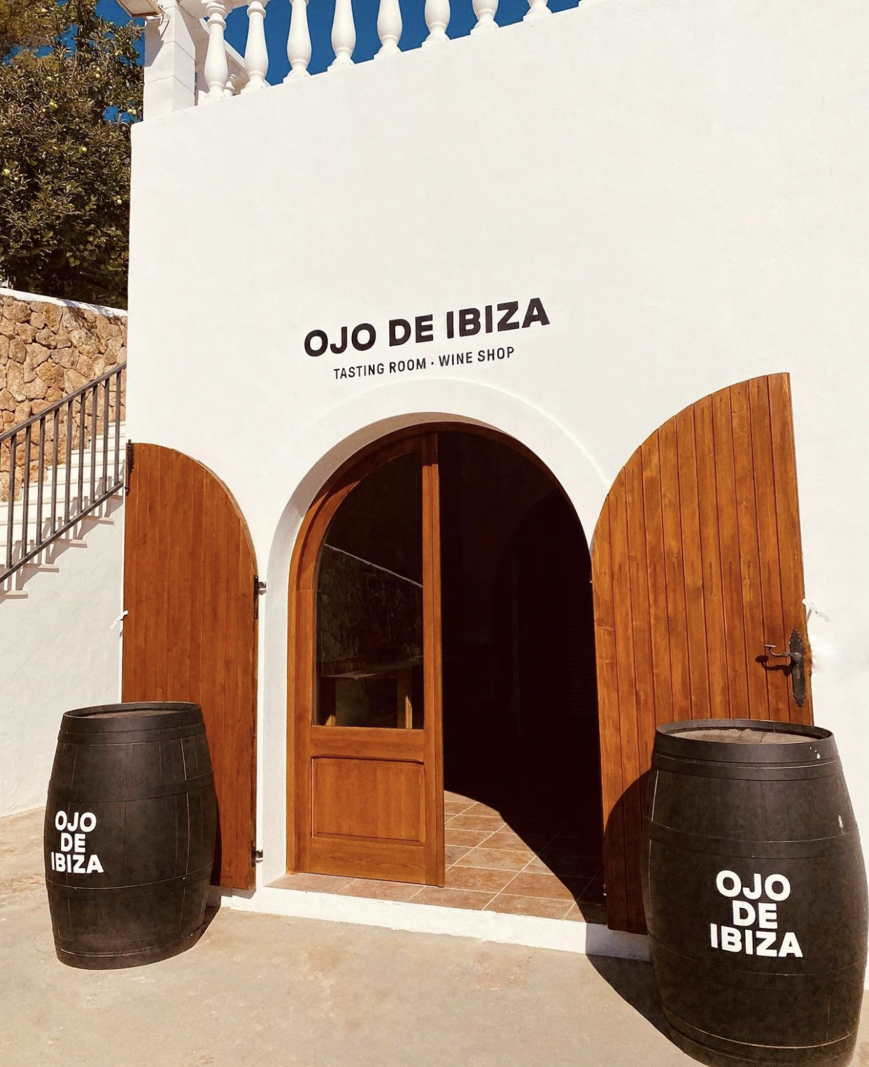 Wine Tasting in Cala de Bou