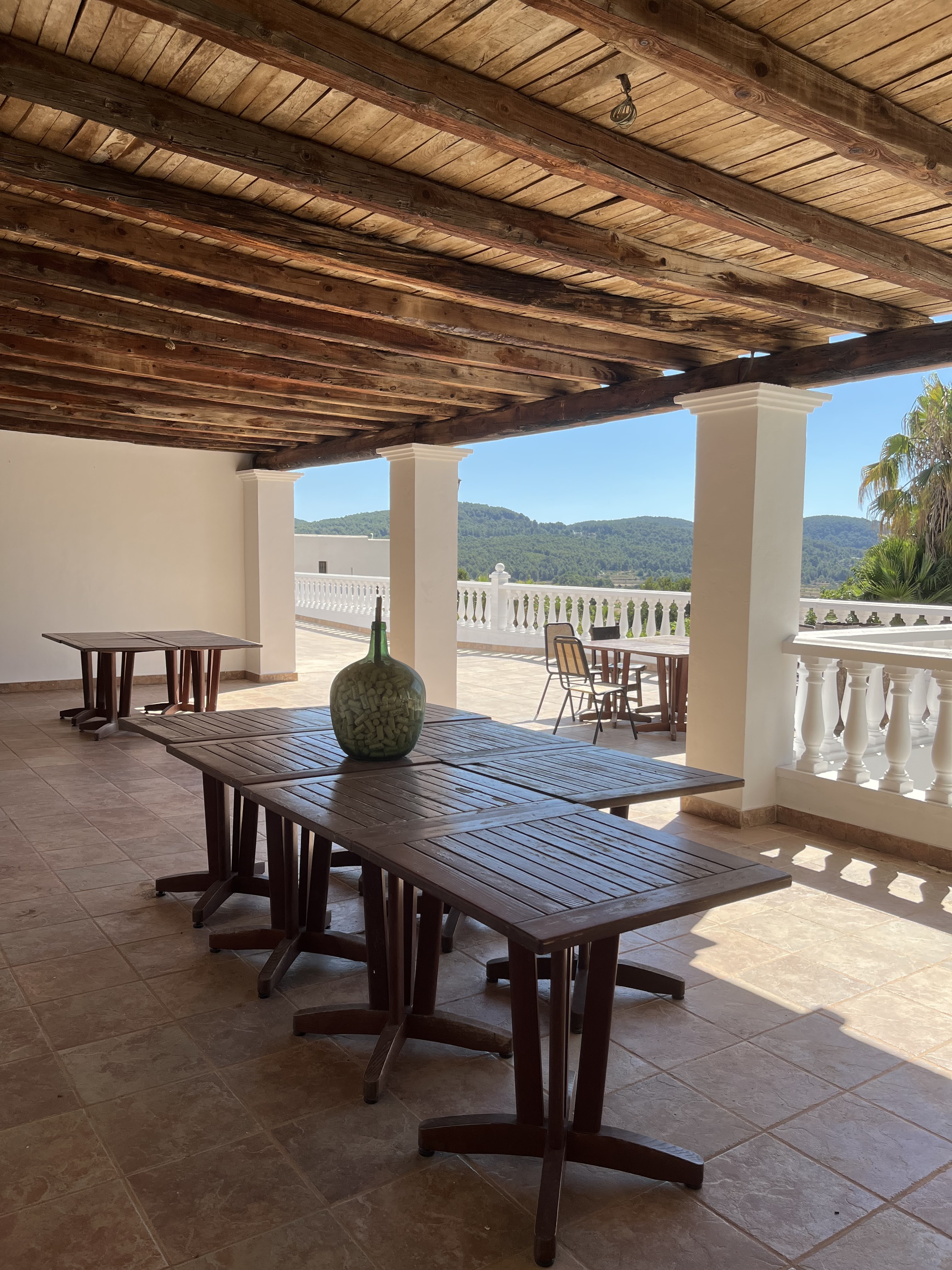 Wine Tasting in Cala de Bou photo 4