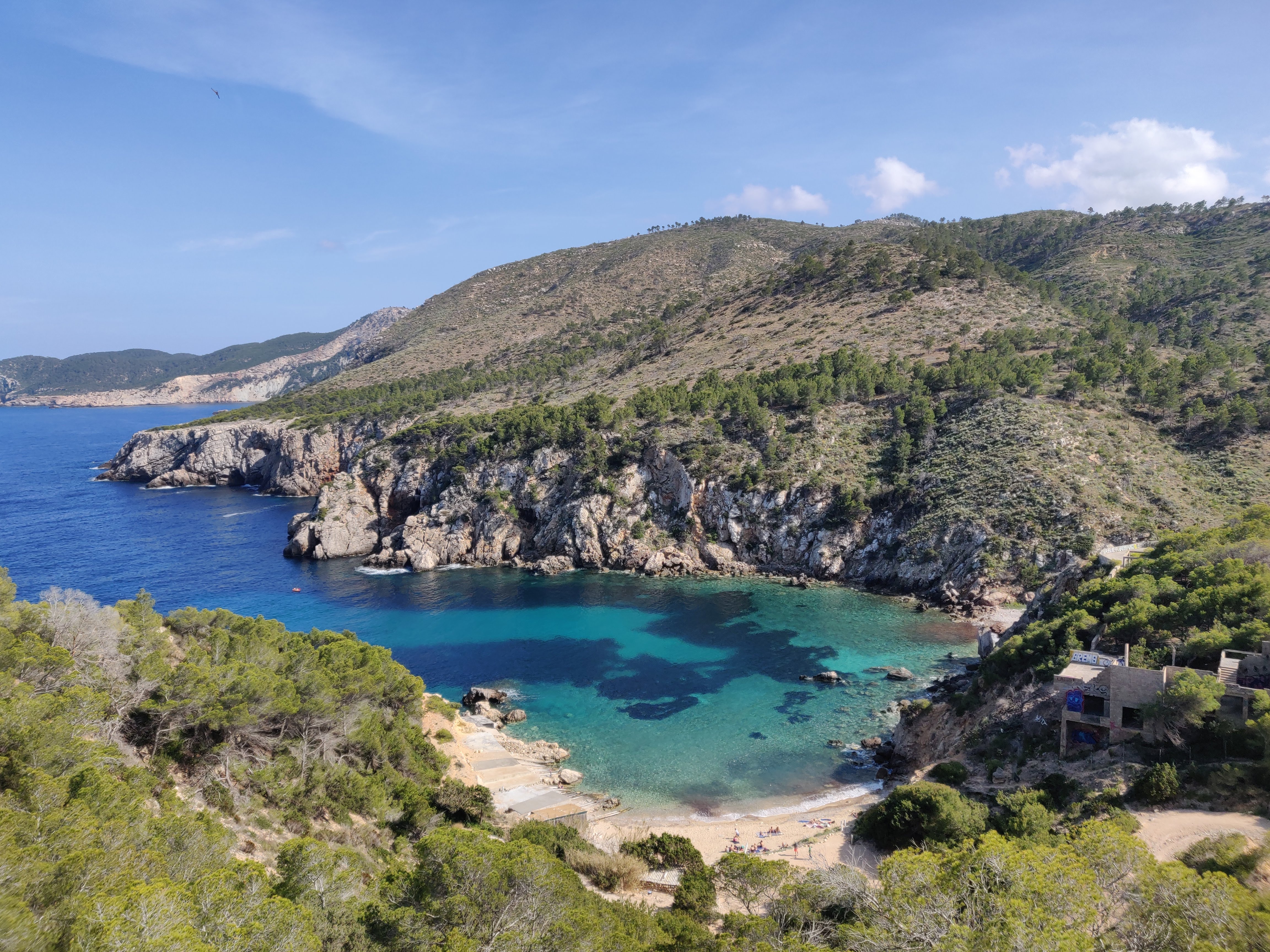 Snorkeling in Cala Nova photo 5