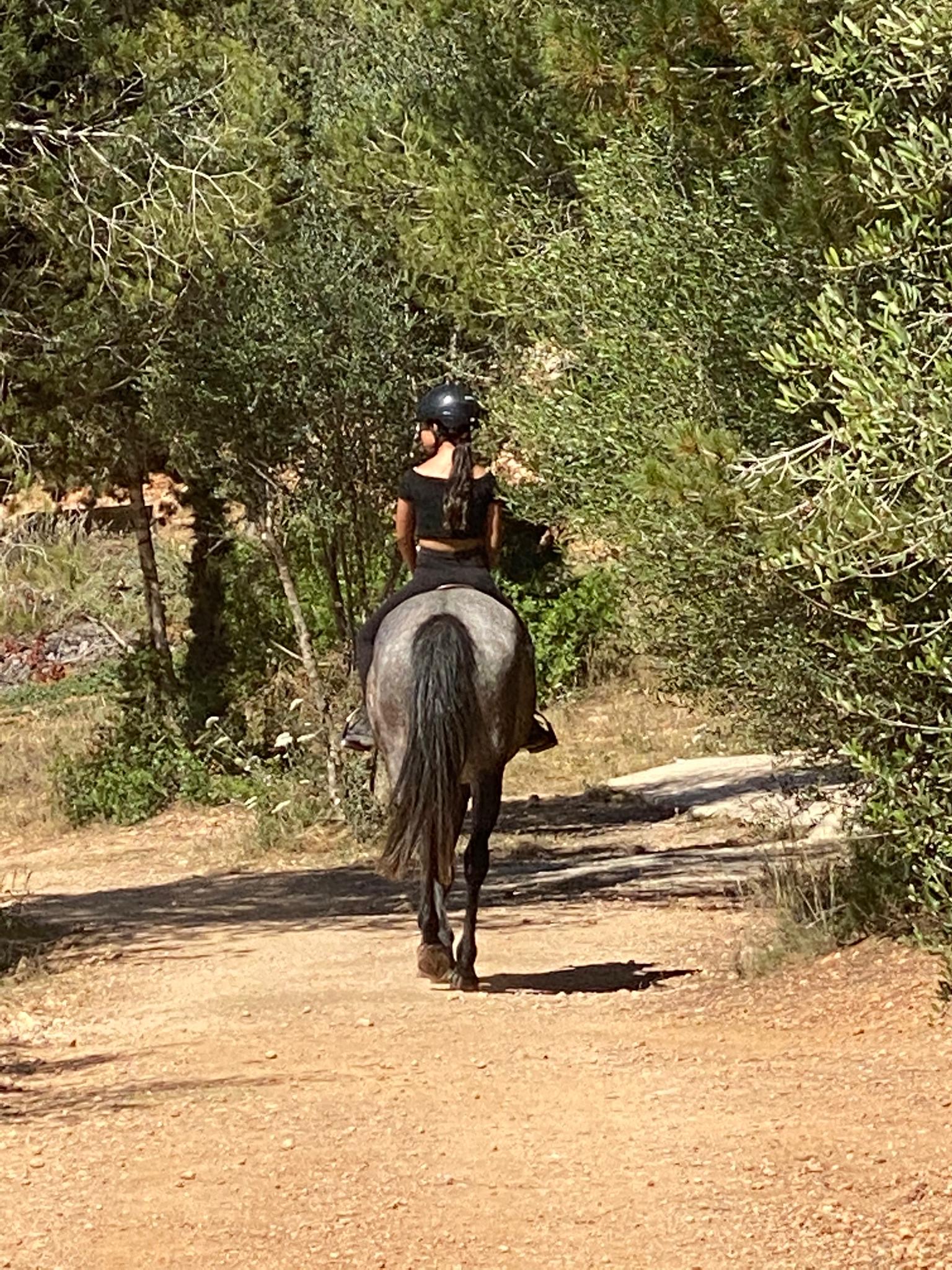 Horseback Riding in Santa Eulària photo 2