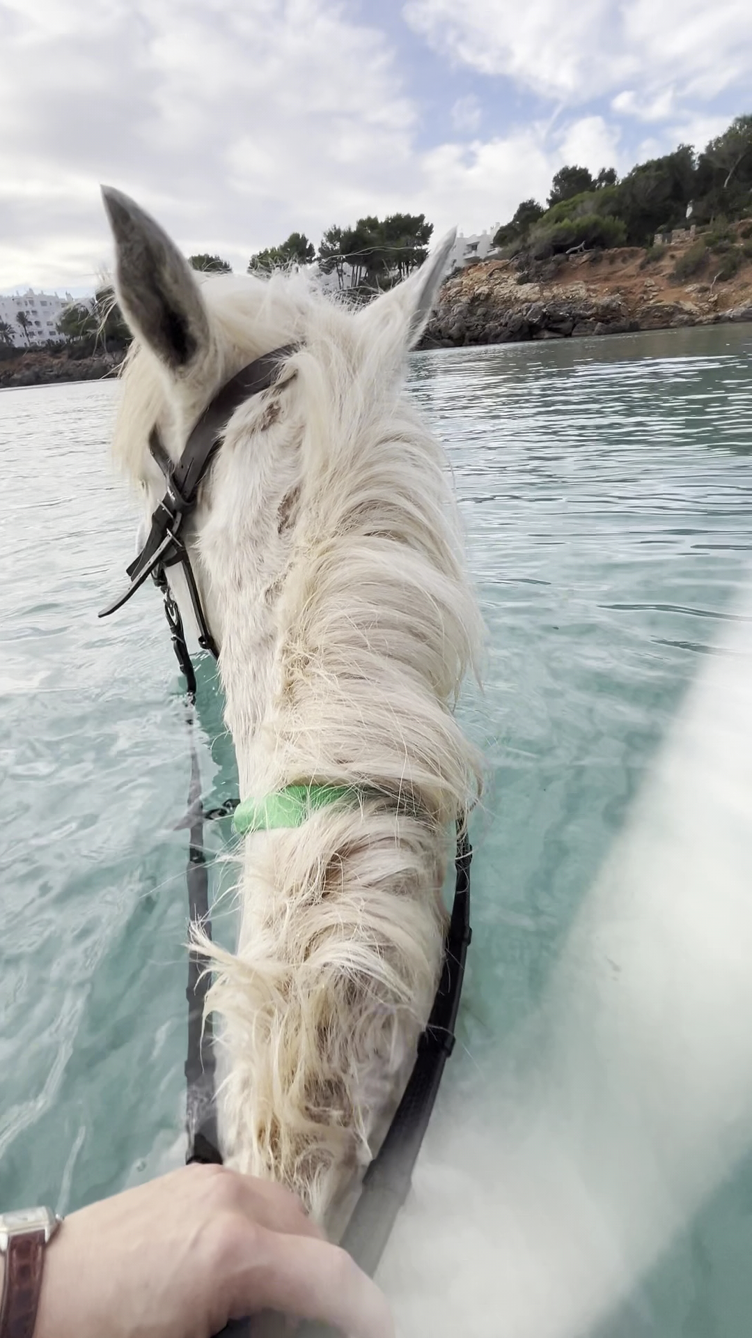 Horseback Riding in Santa Eulària photo 3