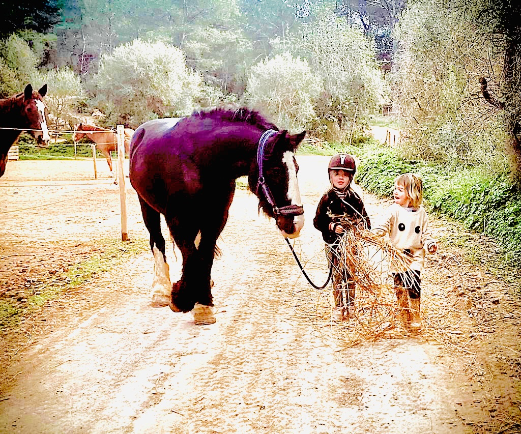Horseback Riding in Santa Eulària photo 4