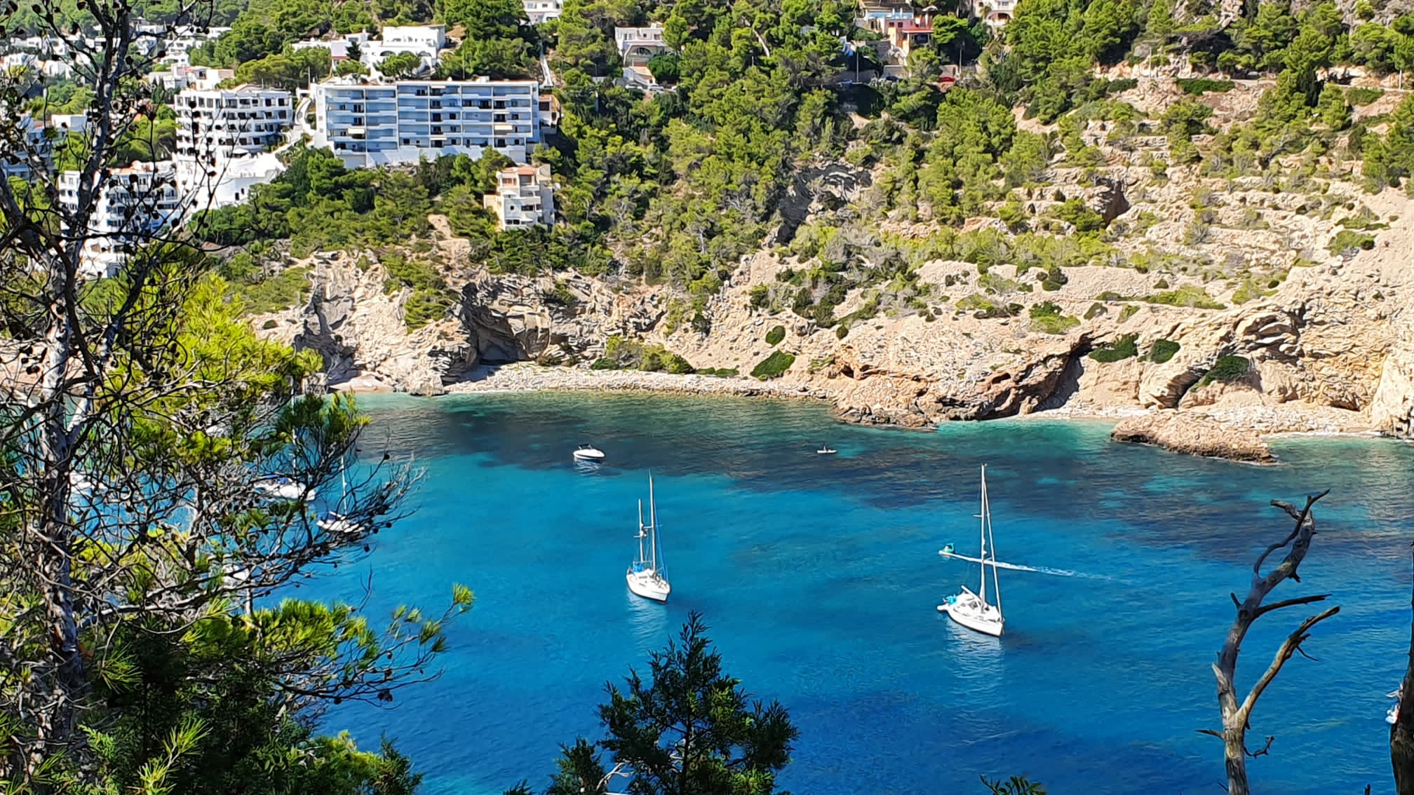 Champagne Cruises in Cala Llonga photo 5