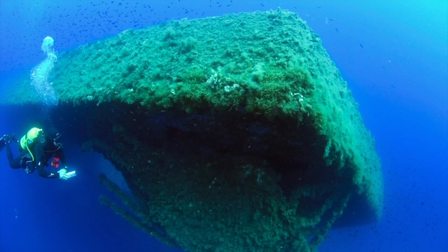 Scuba Courses in Cala Nova photo 4