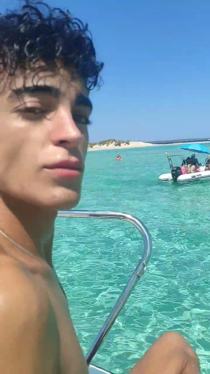 Dolphin Watching in Ibiza Town photo 3