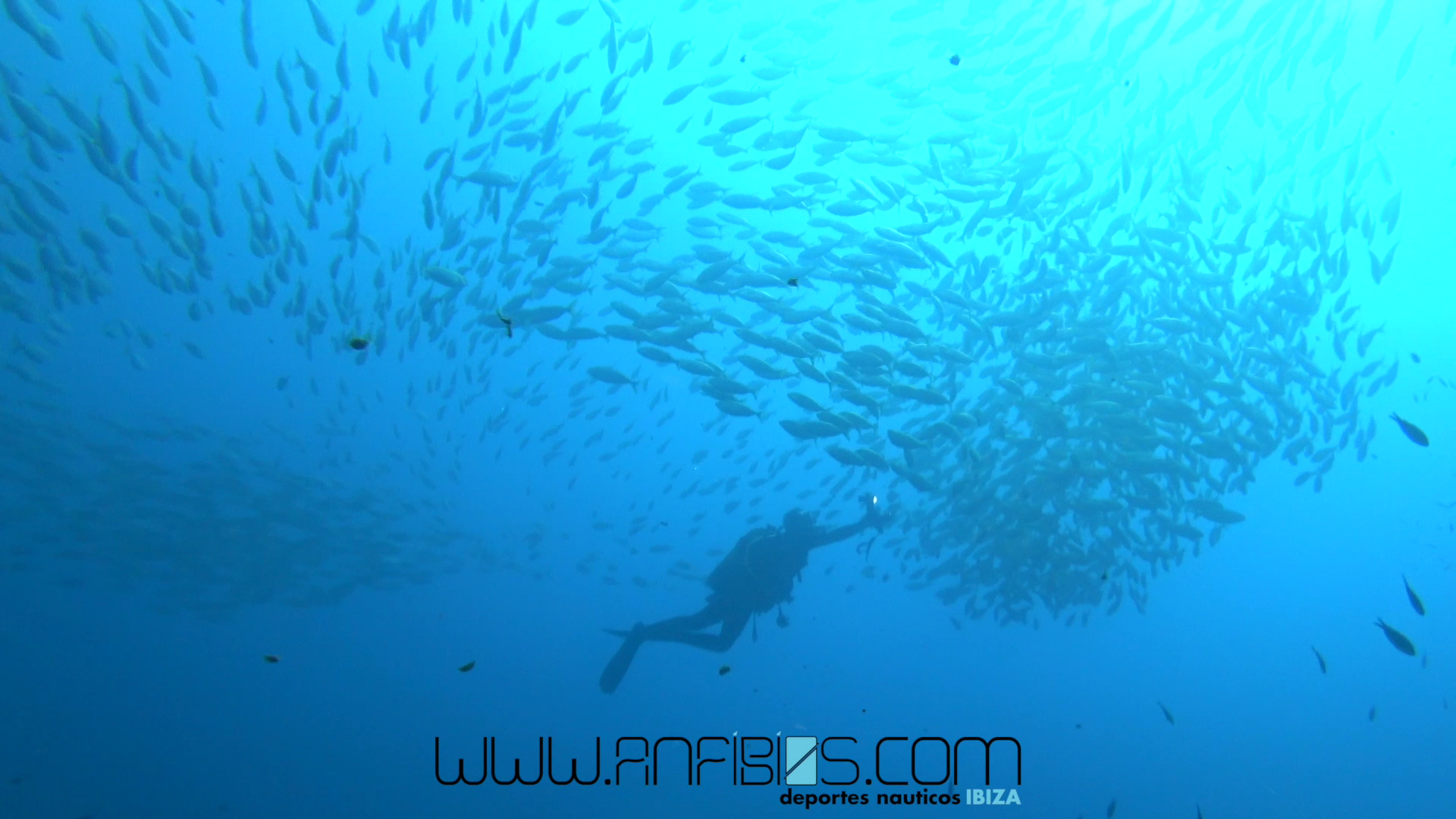 Scuba Courses in Figueretas photo 2