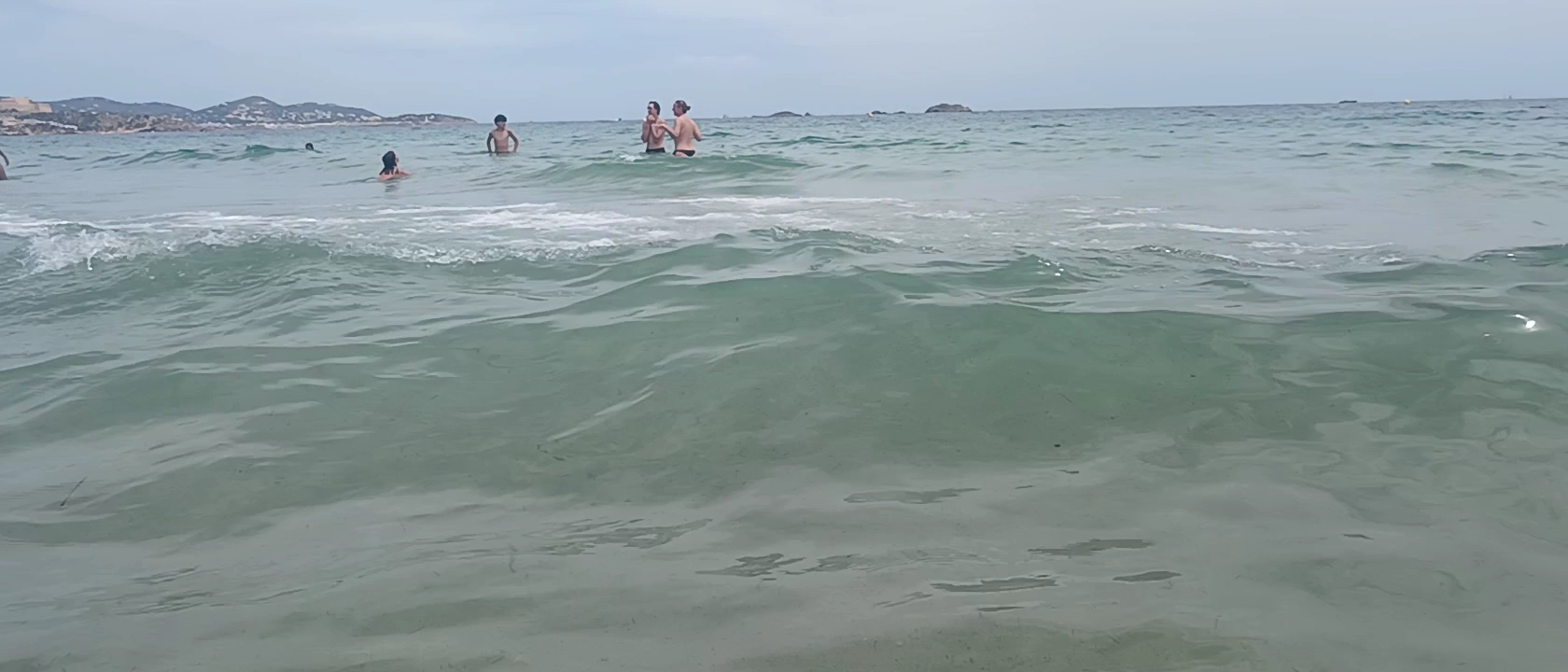 Dolphin Watching in Playa d'en Bossa photo 2