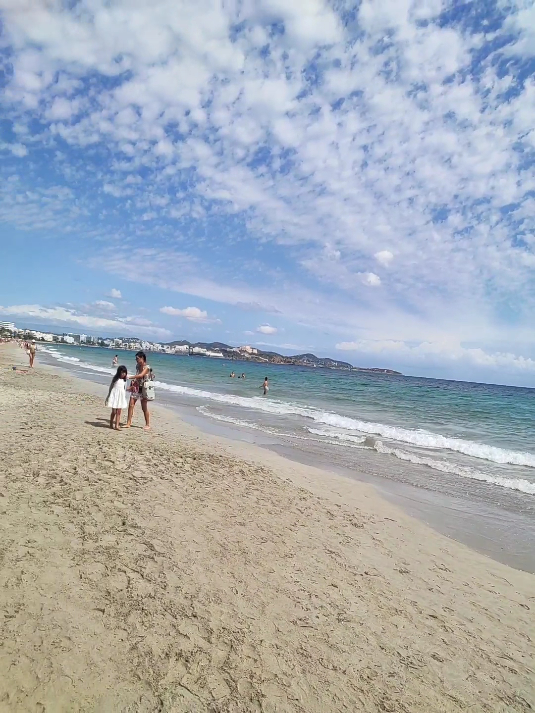 Dolphin Watching in Playa d'en Bossa photo 3