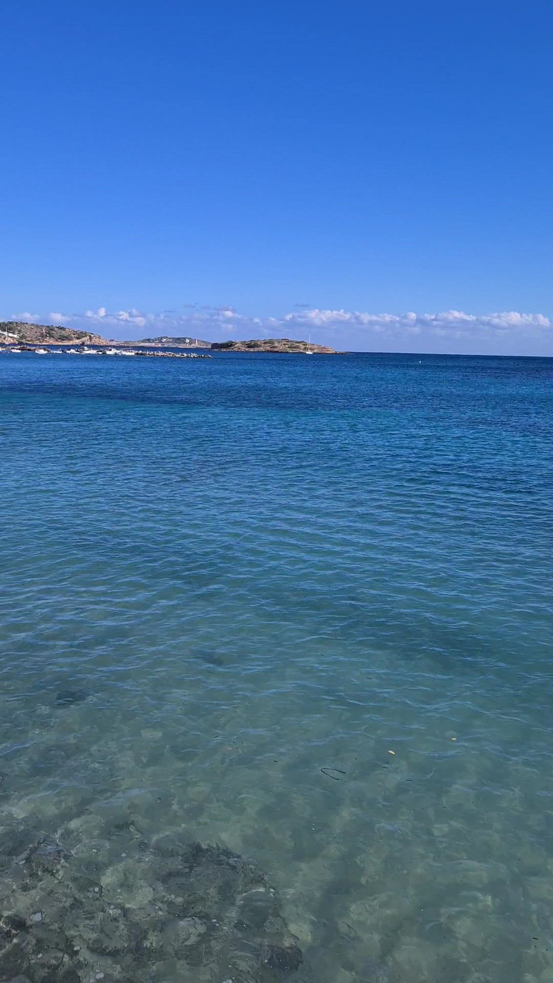 Catamaran Cruise in Playa d'en Bossa photo 3