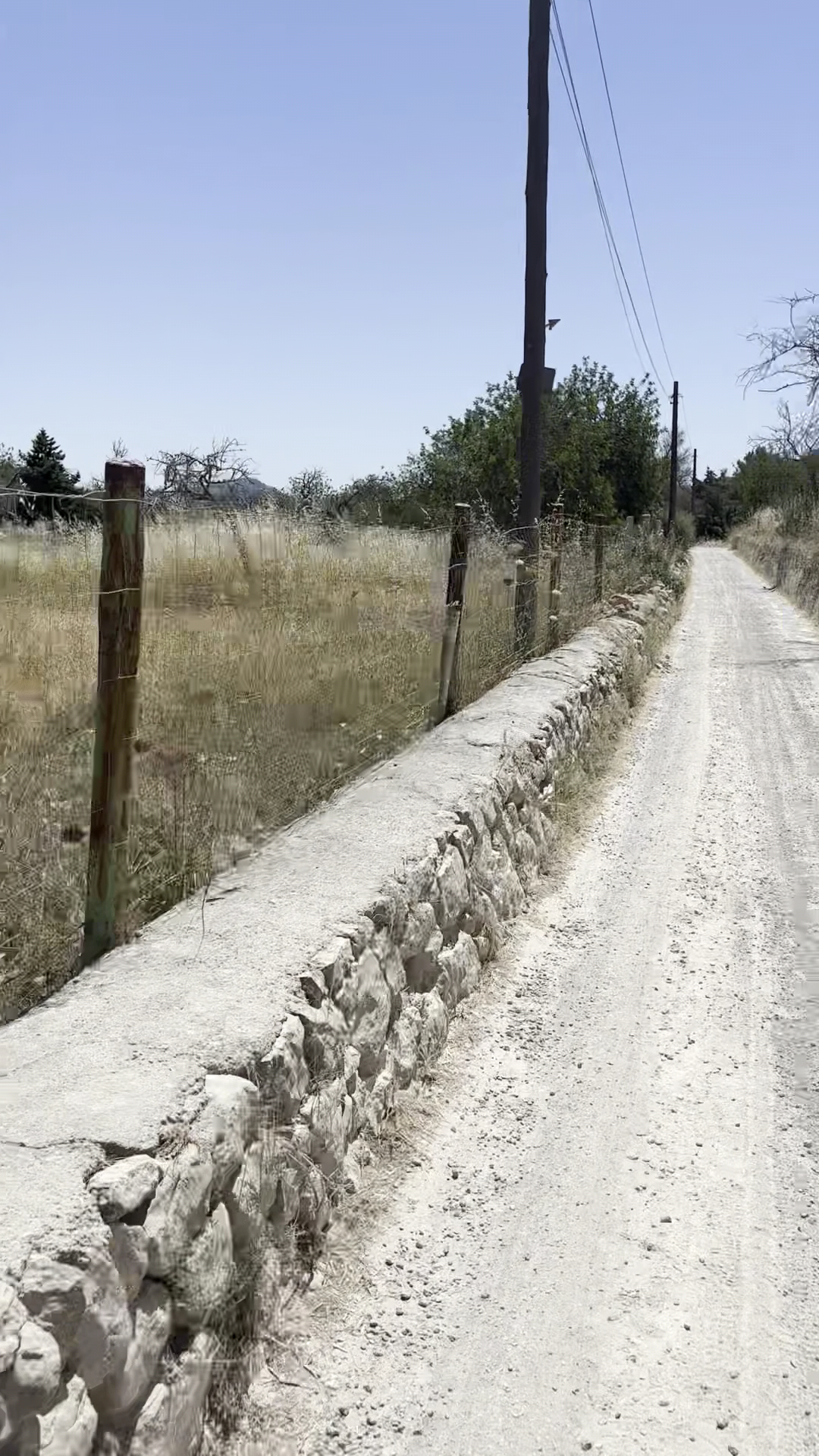 Mountain Bike Rental in Figueretas photo 2