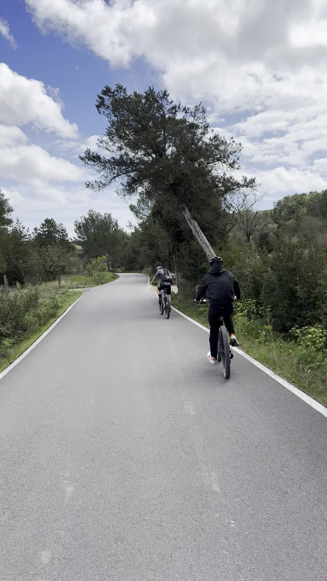 Mountain Bike Rental in Figueretas photo 3