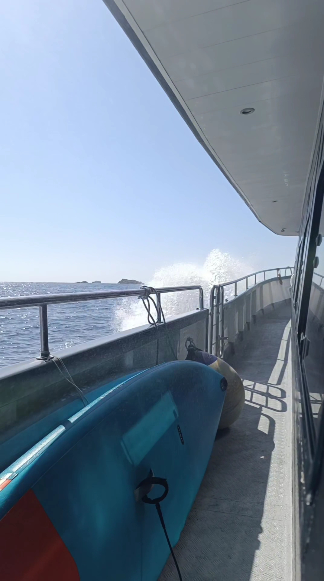 Dolphin Watching in Figueretas photo 3