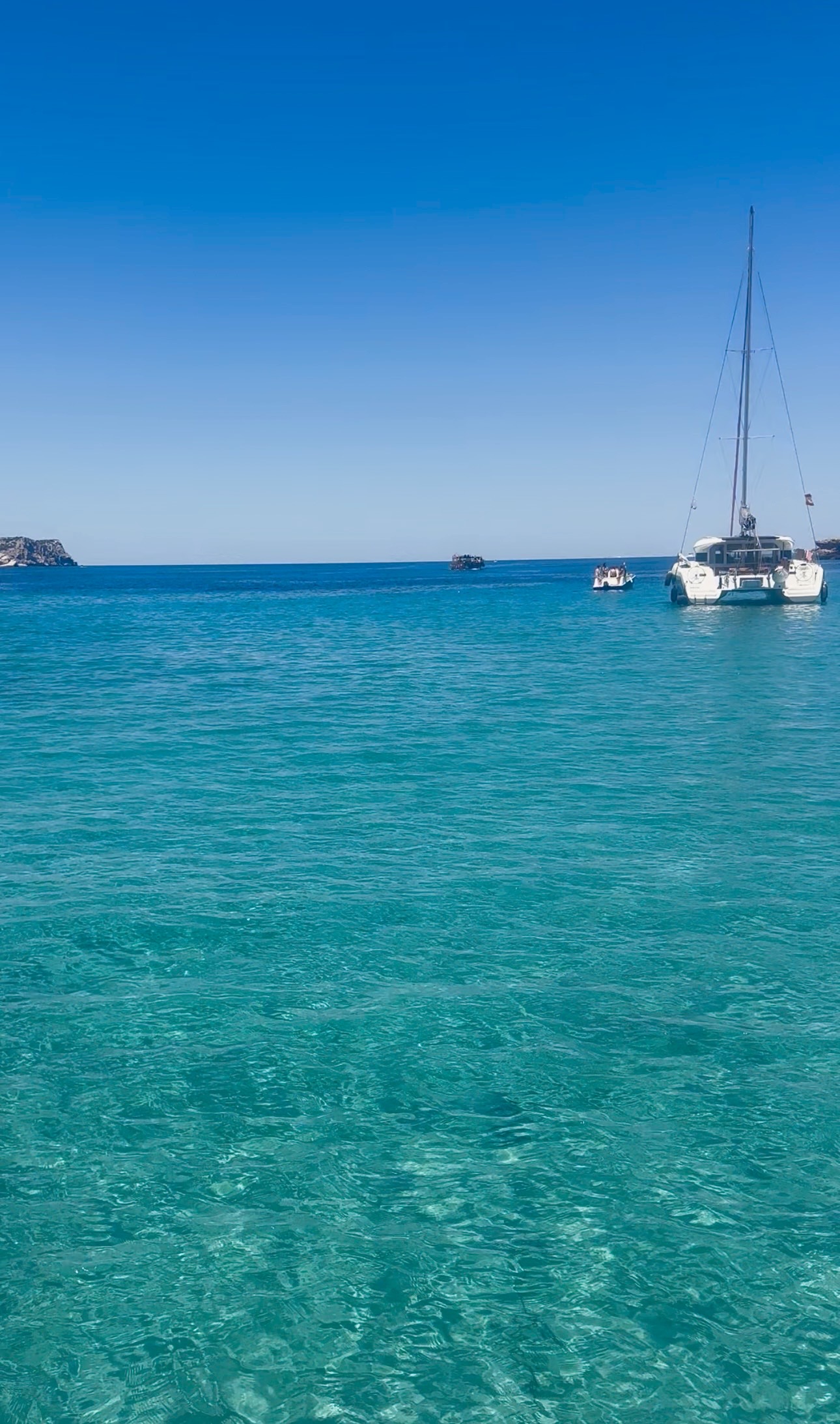 Glass Bottom Boat in San Juan photo 2
