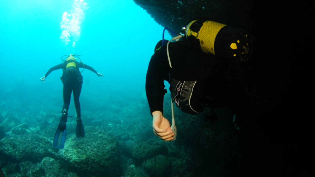 Scuba Courses in Cala de Bou photo 4