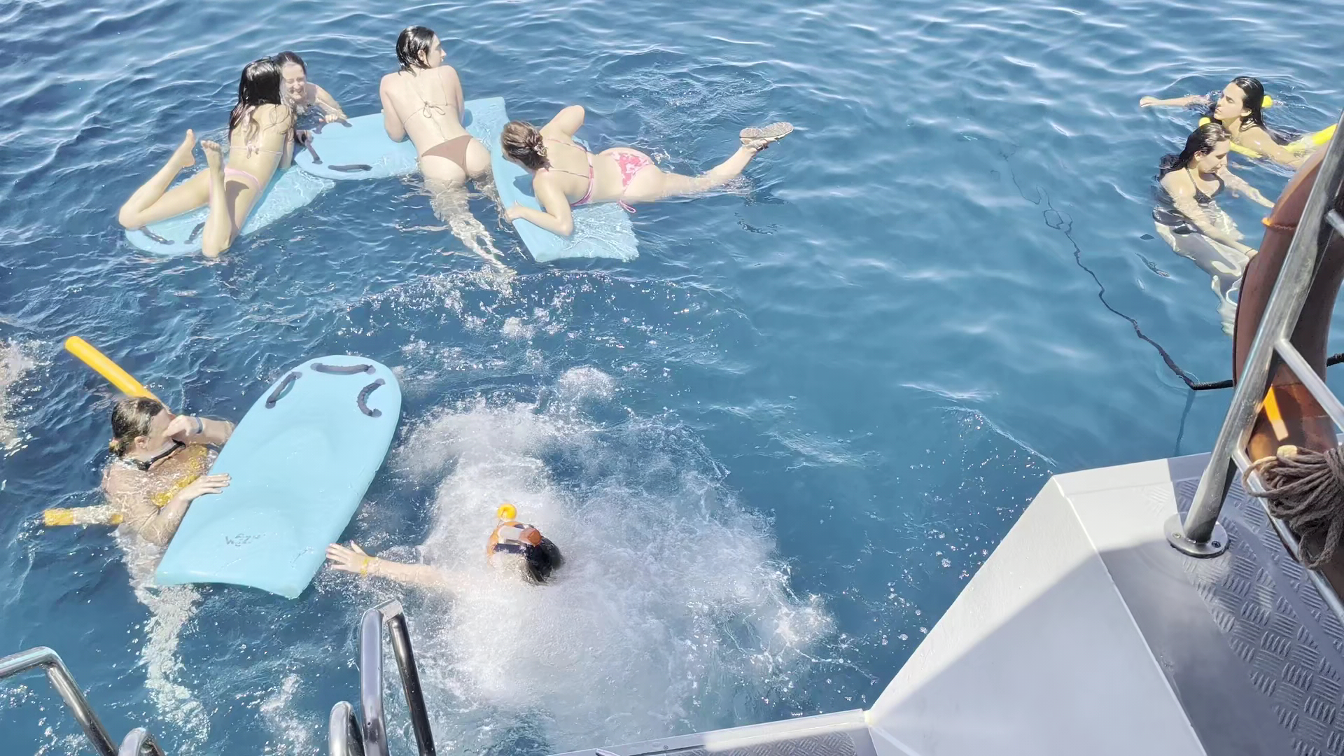 Dolphin Watching in San Antonio photo 2