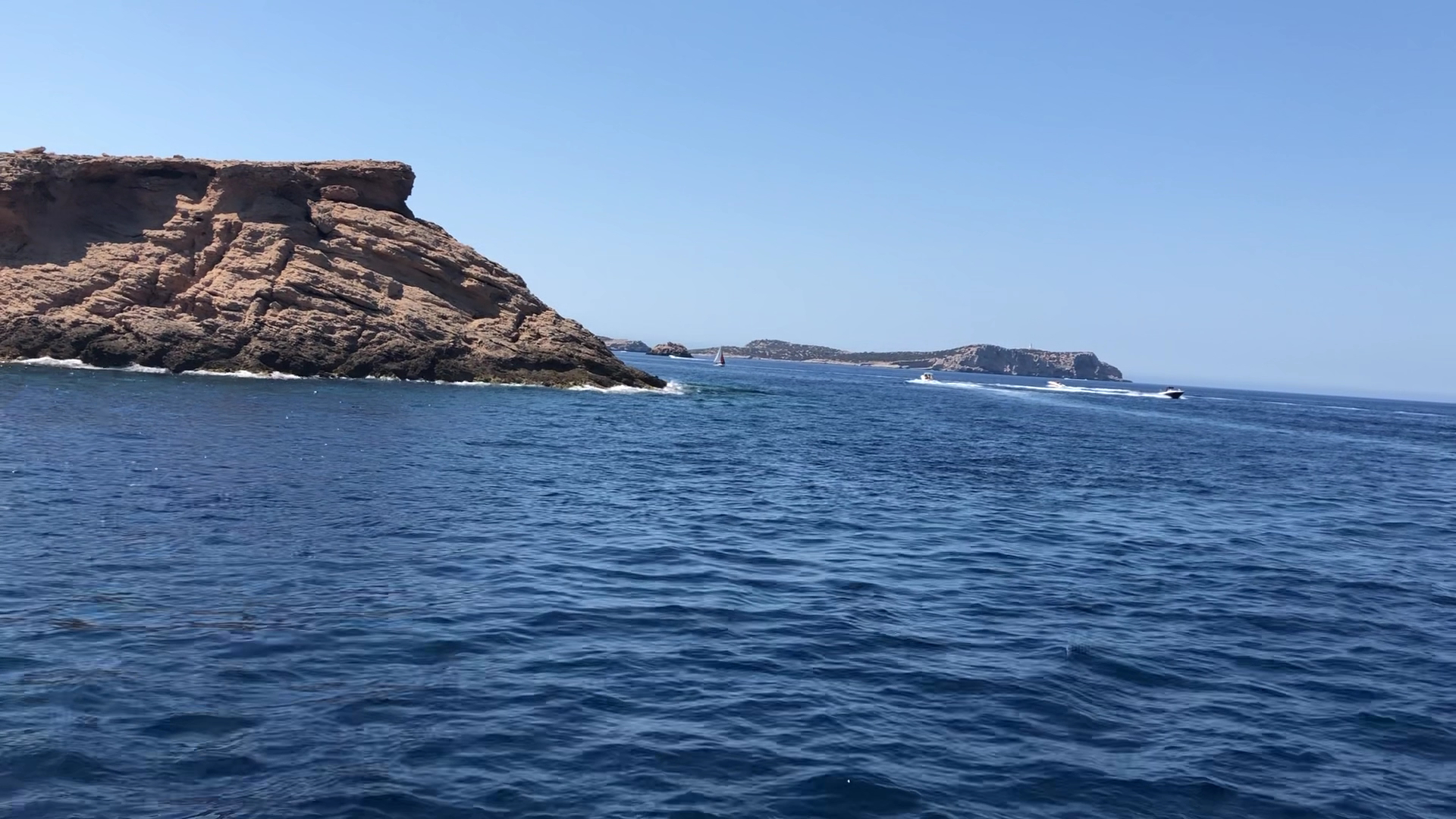 Dolphin Watching in San Antonio photo 3