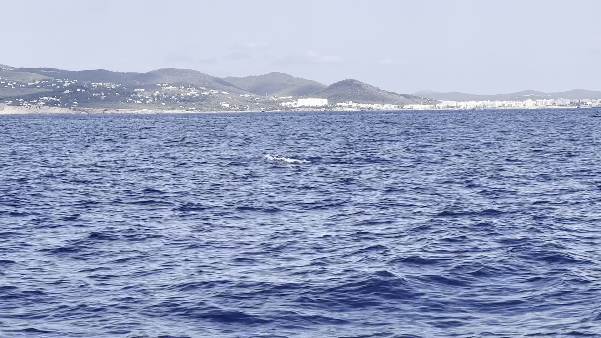 Scuba Courses in Cala Bassa photo 3