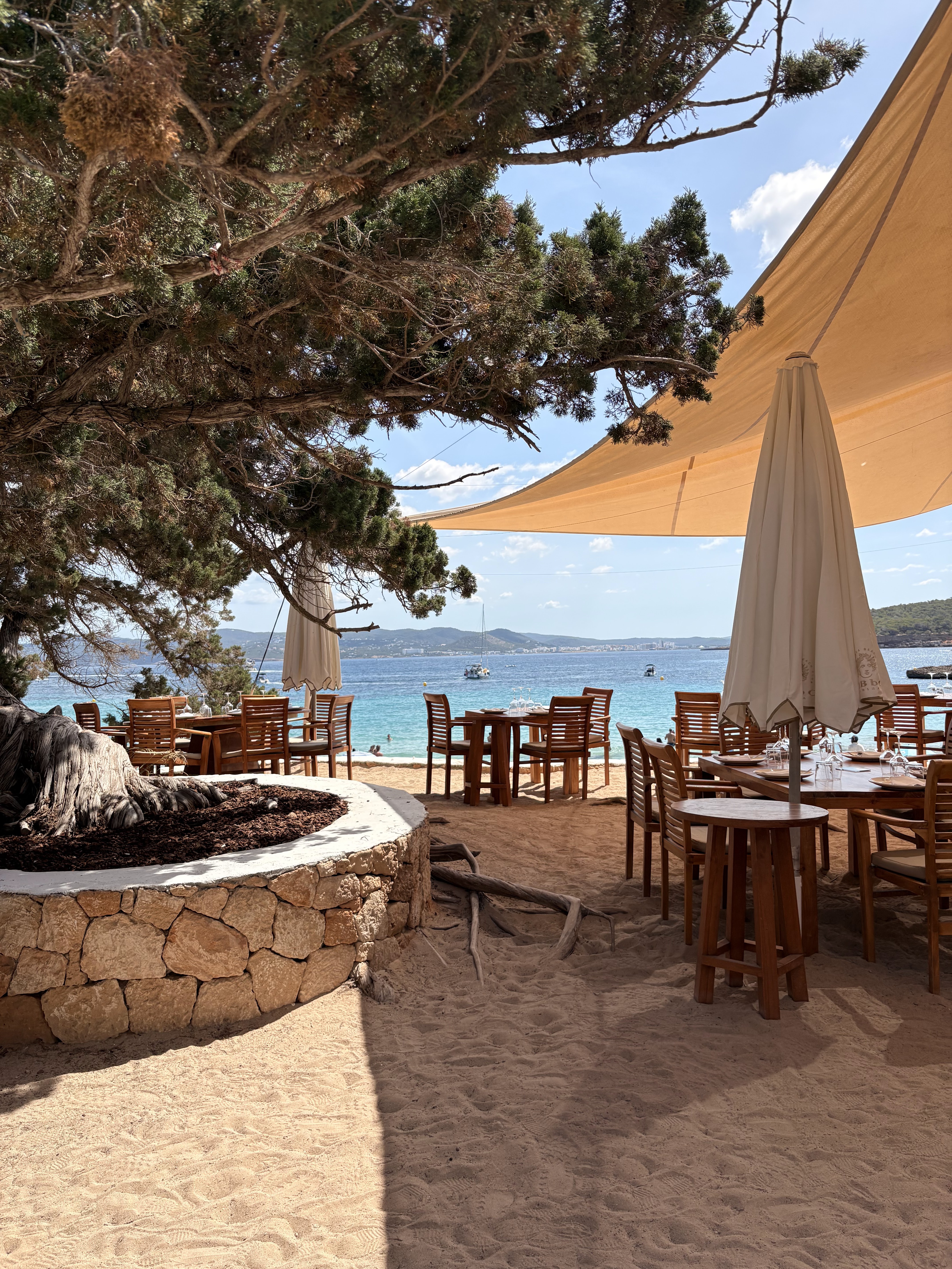 Sailing Excursion in Cala Bassa photo 2