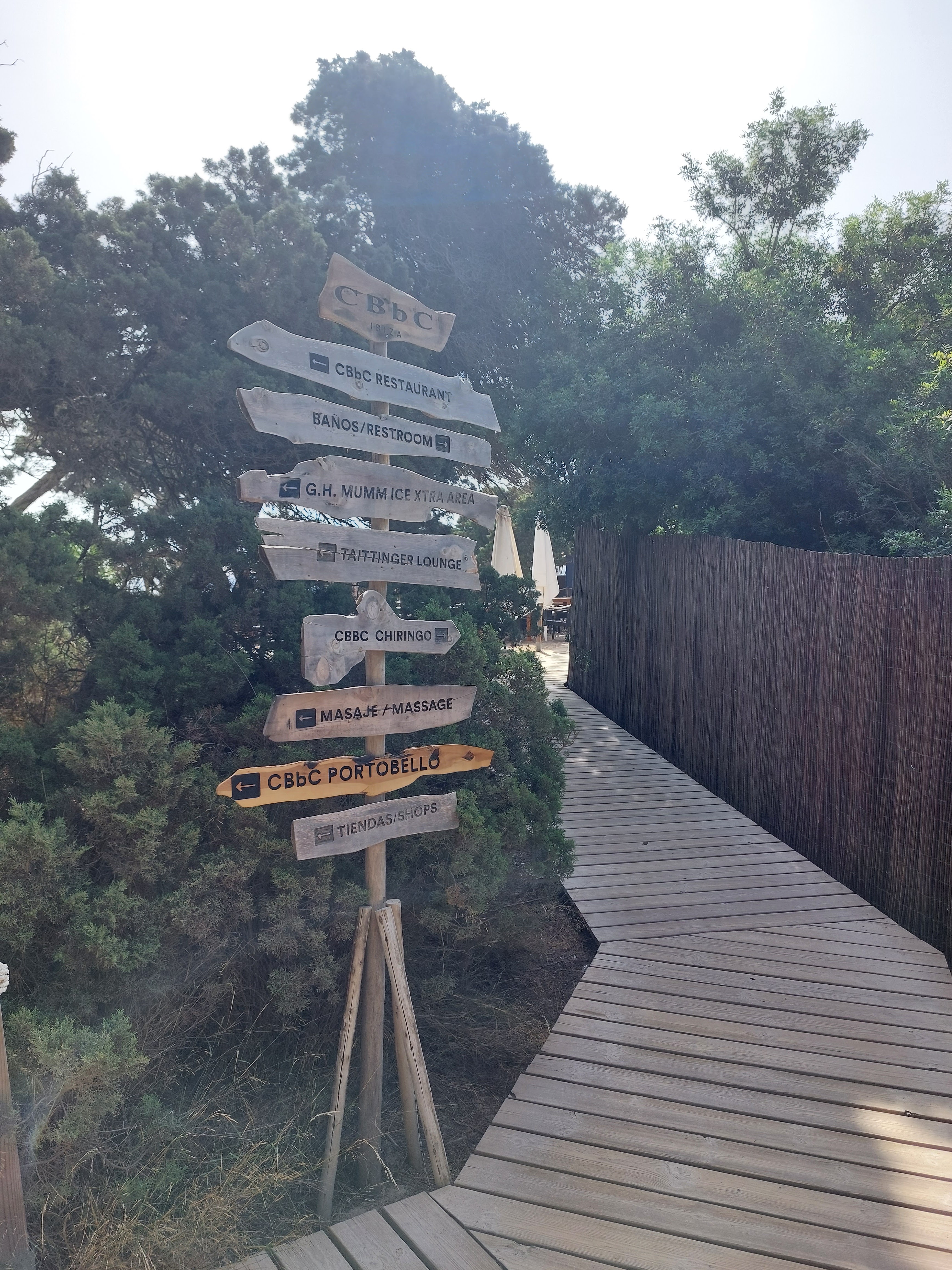 Sailing Excursion in Cala Bassa photo 4