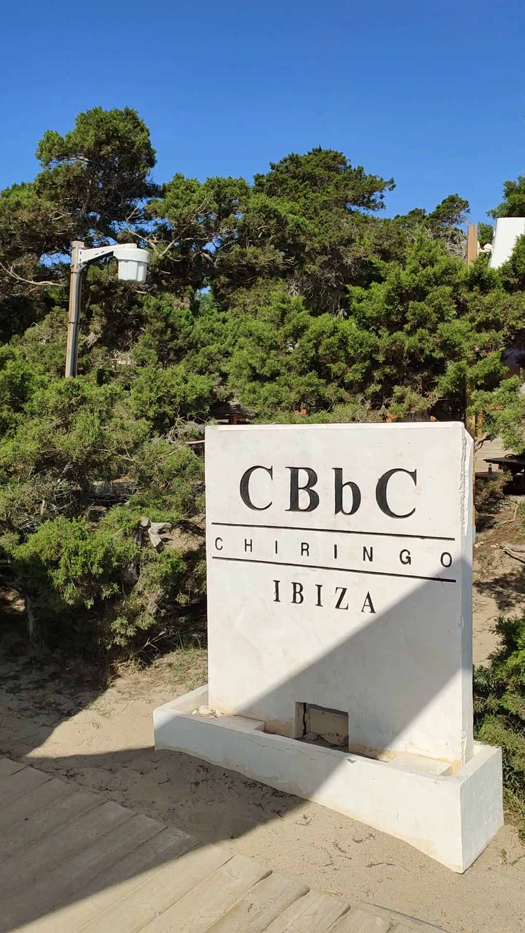 Sailing Excursion in Cala Bassa photo 5